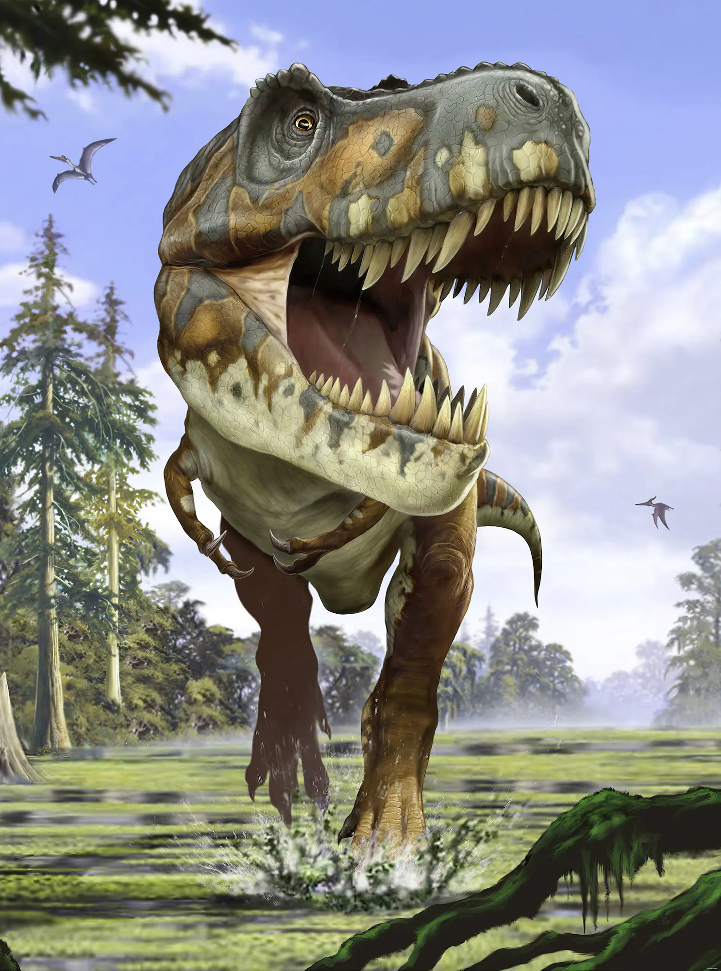 Komar Vlies Fototapete Tyrannosaurus Rex 184 x 248 cm 