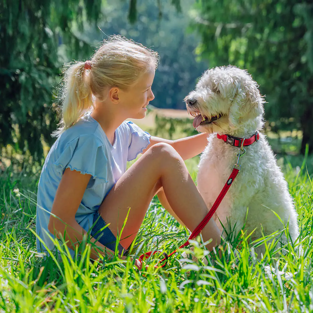 Nobby Halsband Soft Grip L rot