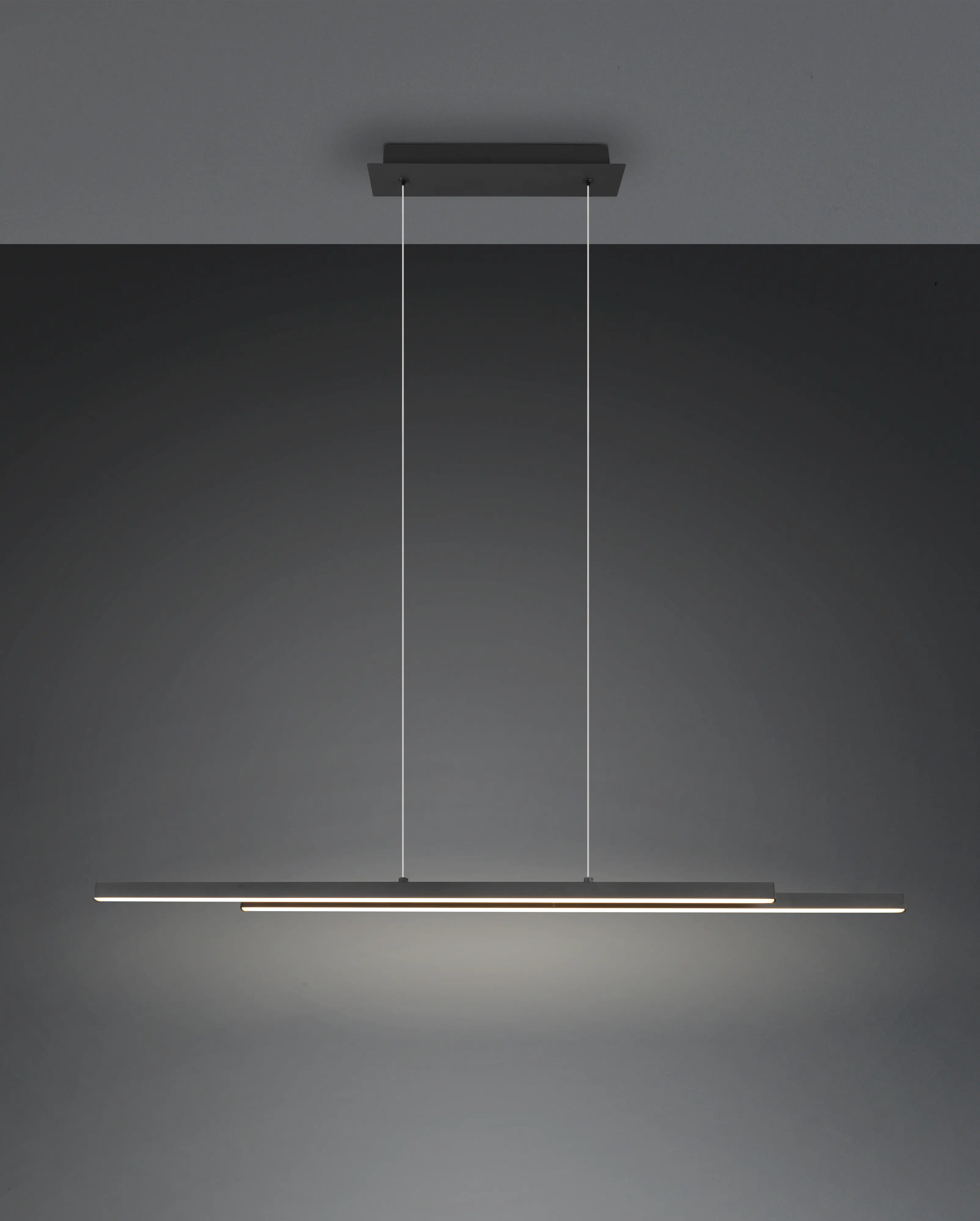 Trio Leuchten LED Pendellechte Odio 28W schwarz