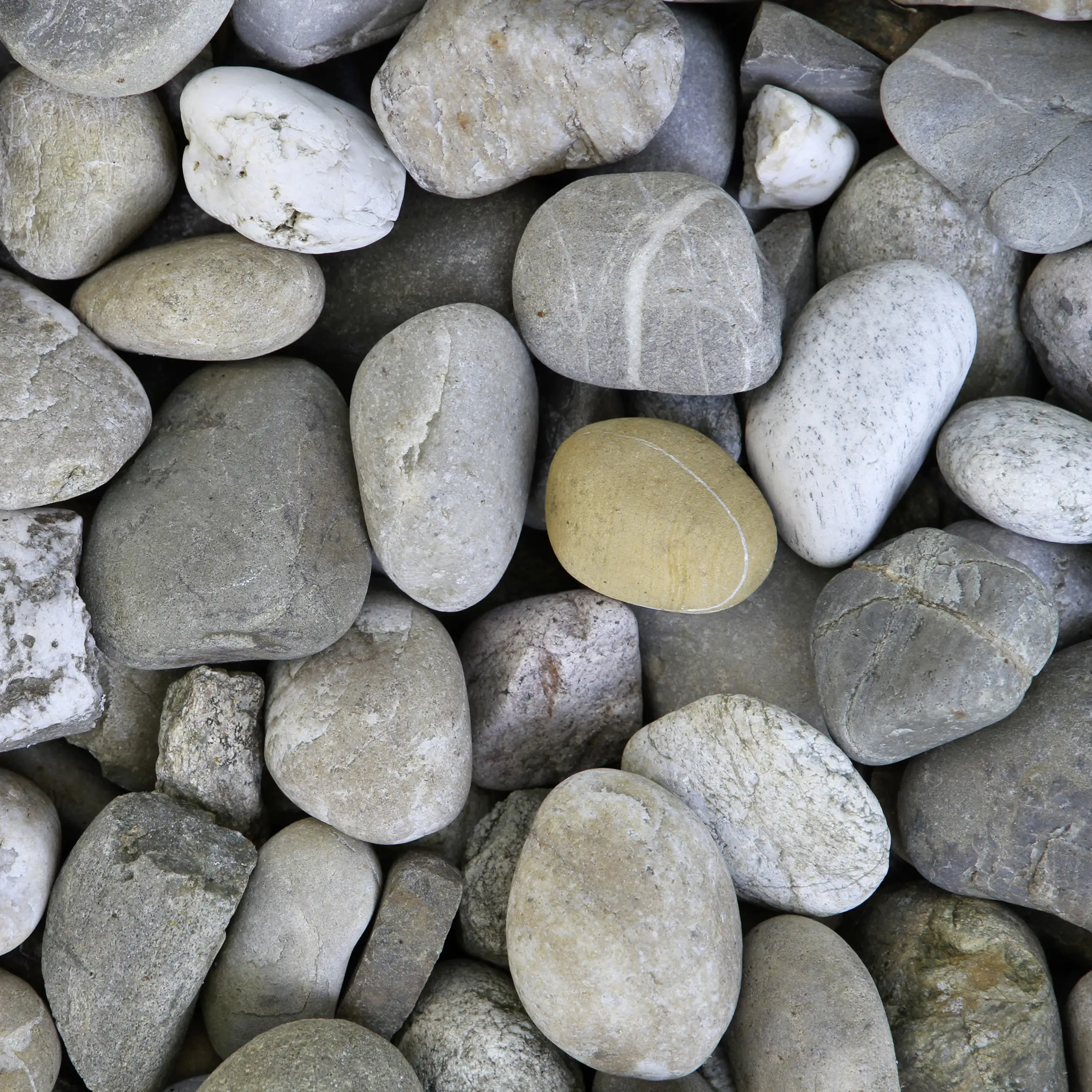 Silex Rheinkies 32 -110 mm bunt 25 kg