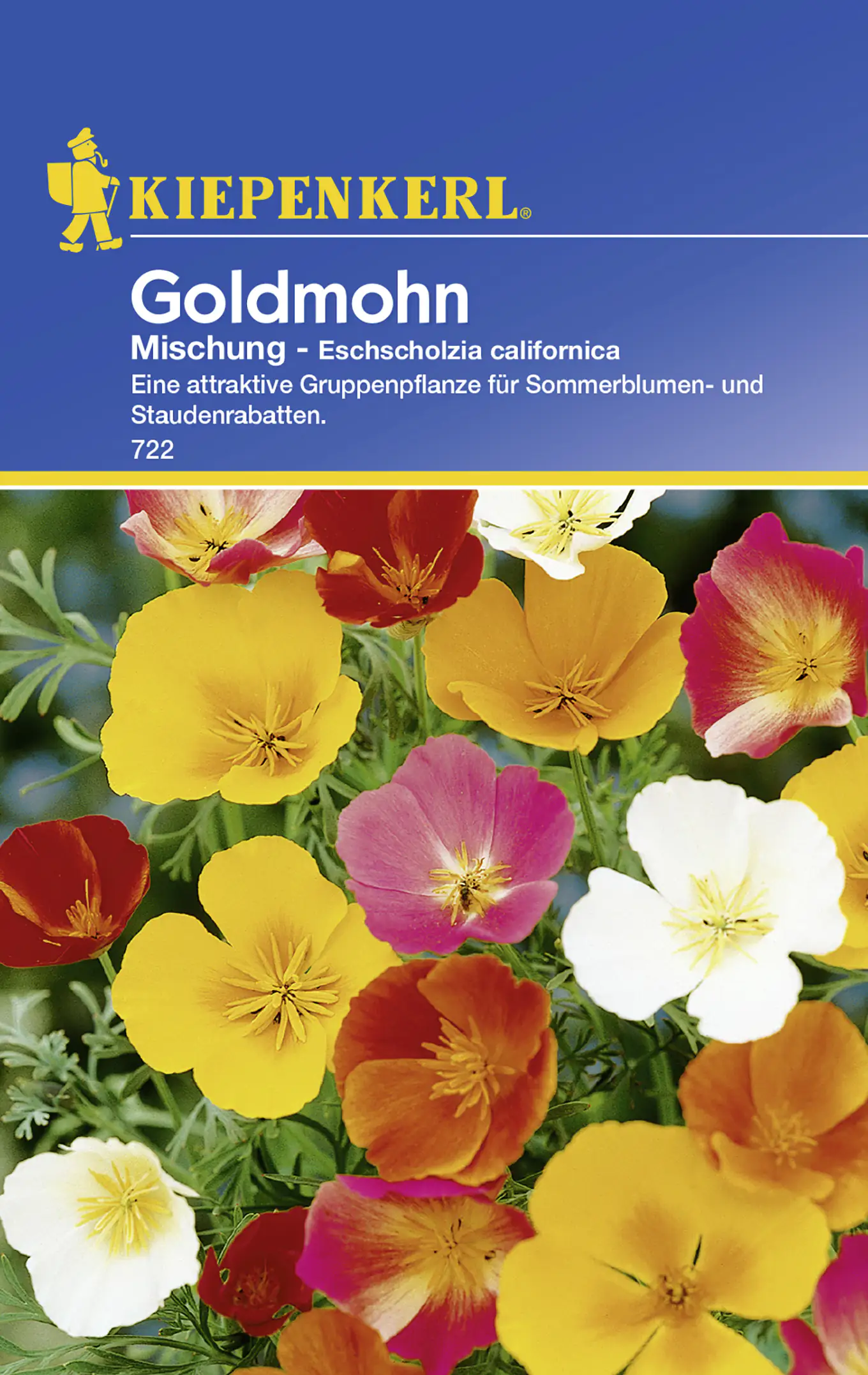 Kiepenkerl Goldmohn Mischung Eschscholzia californica, Inhalt: ca. 75 Pflanzen kaufen | Globus ...