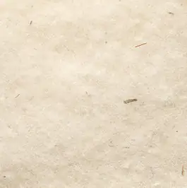 Windhager Schafwoll-Vliesdecke weiß 2 x 1 m , 100g/m² Windhager Schafwoll-Vliesdecke weiß 2 x 1 m , 100g/m²