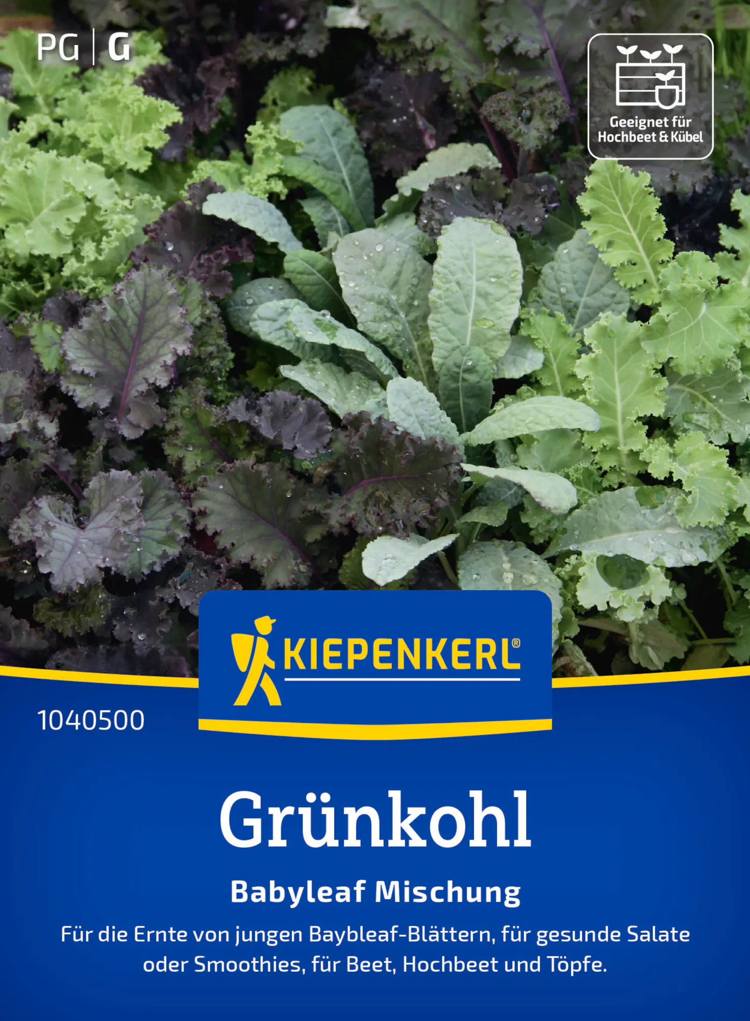 Kiepenkerl Saatgut Grünkohlsamen Babyleaf Mischung für ca. 350 Pflanzen