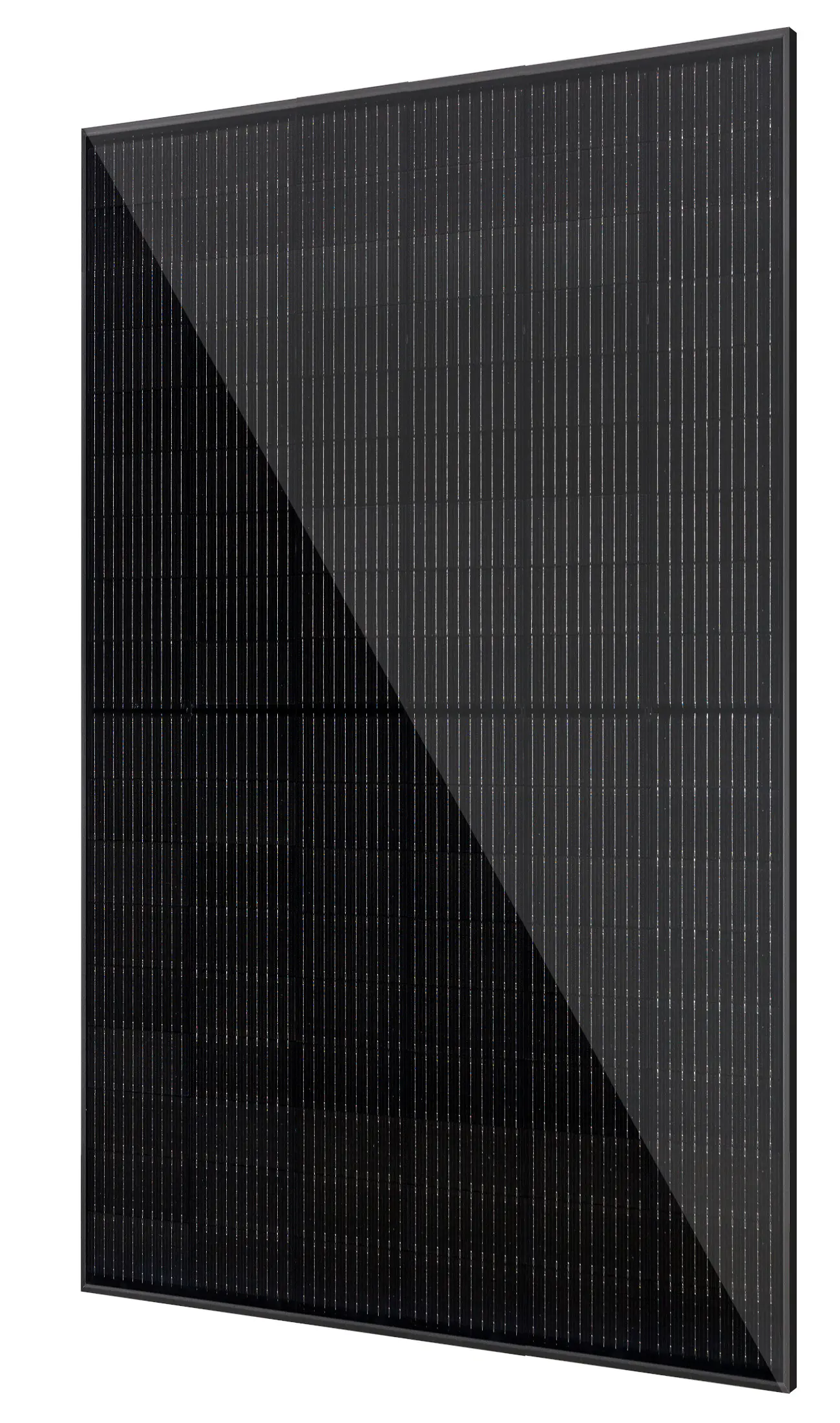 Vale Solarmodule 2 x 440 Watt bifazial Glas-Glas Full black