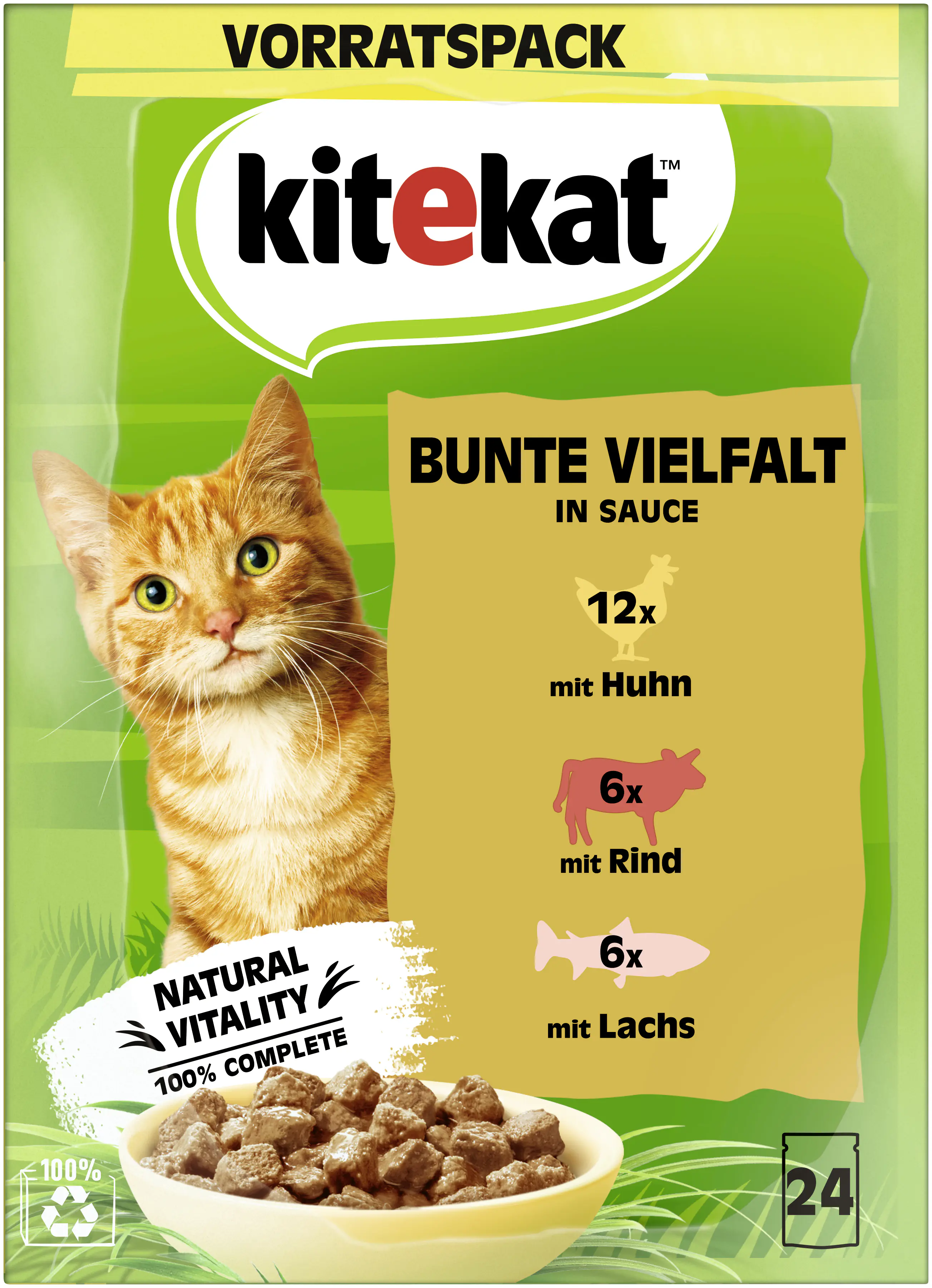 Kitekat Bunte Vielfalt in Sauce Multipack Vorratspack 24x85 g