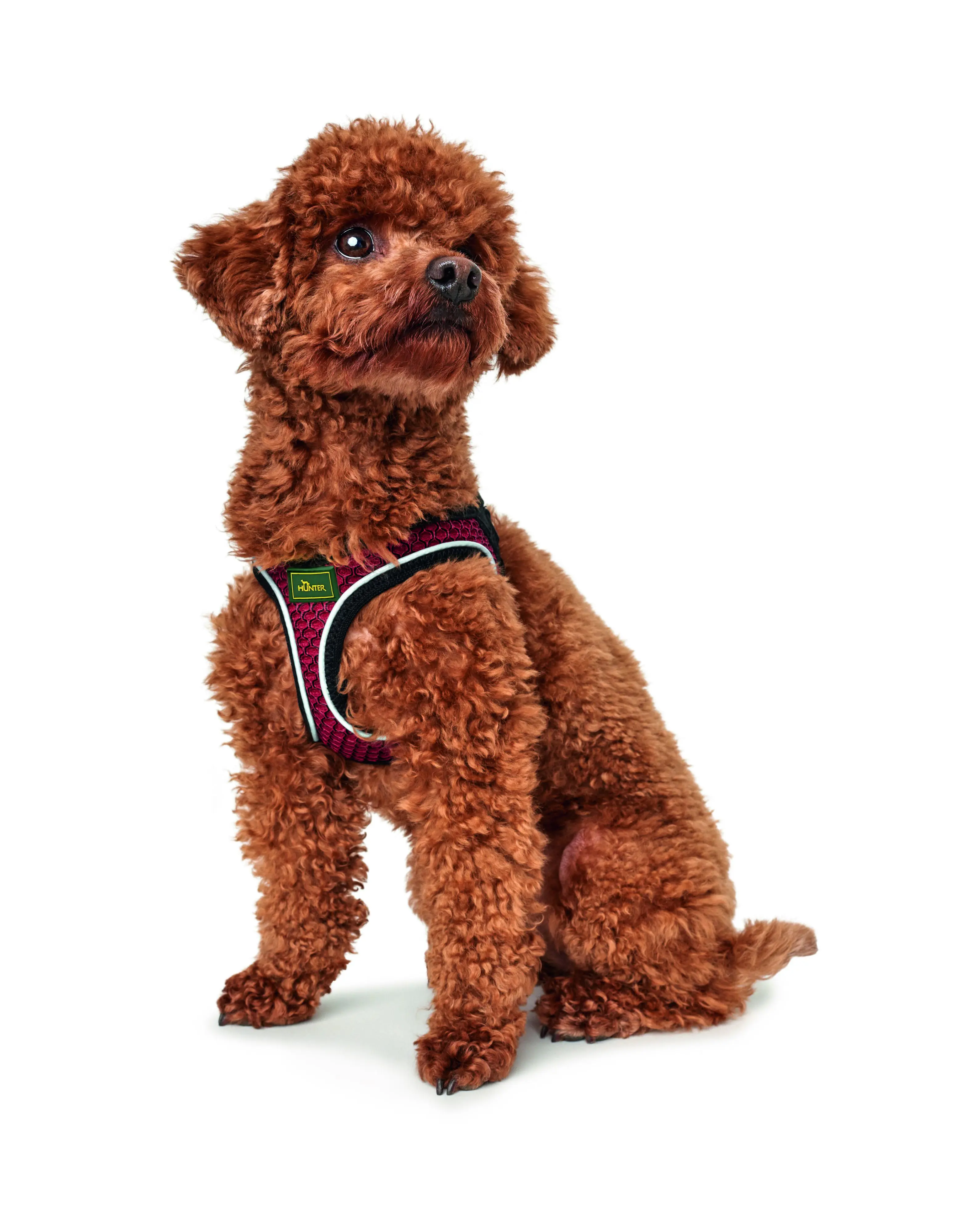 Hunter Hundegeschirr Hilo Comfort M rot