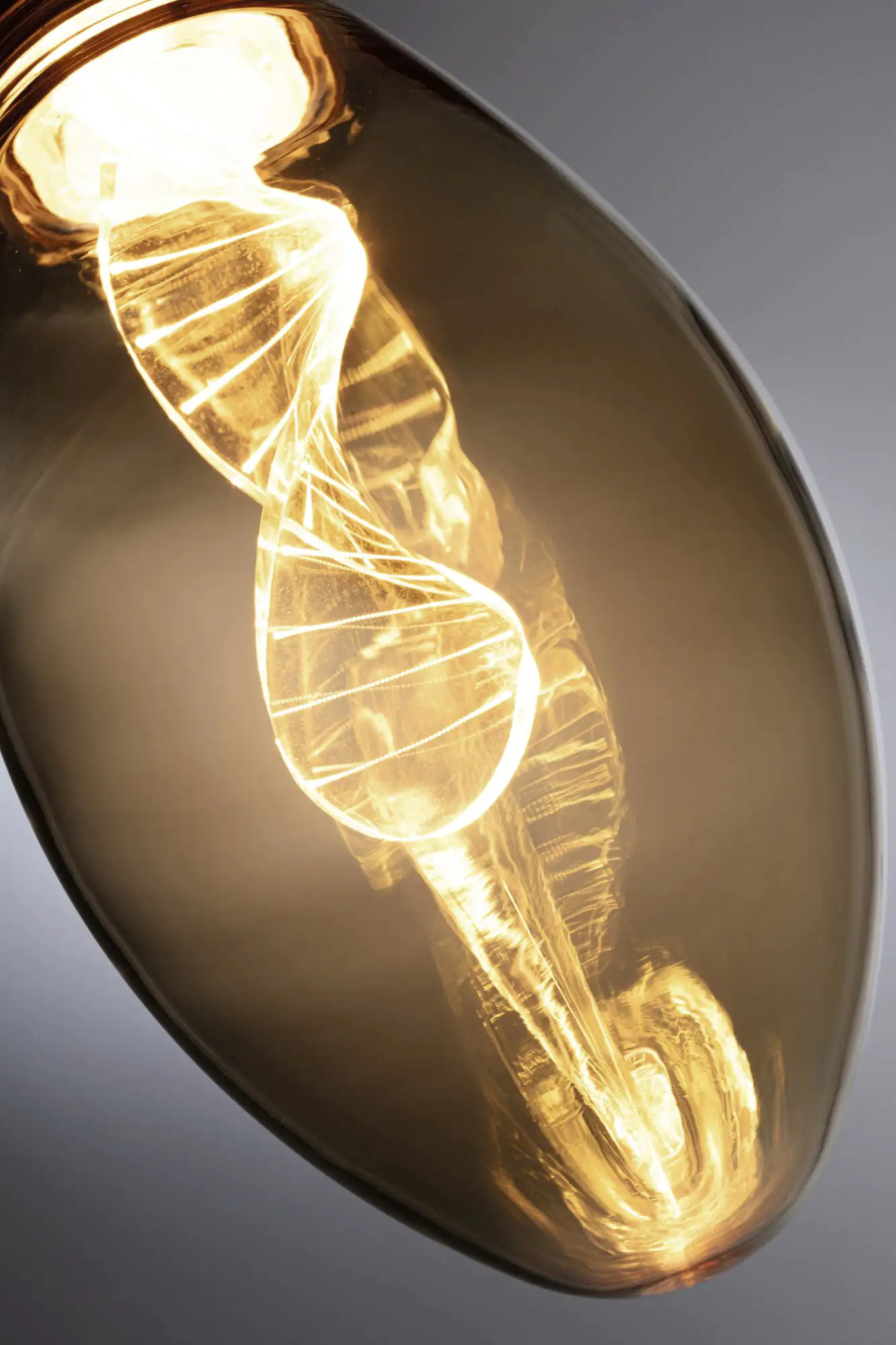 Paulmann LED Leuchtmittel Inner Glow Helix E27 3,5W gold