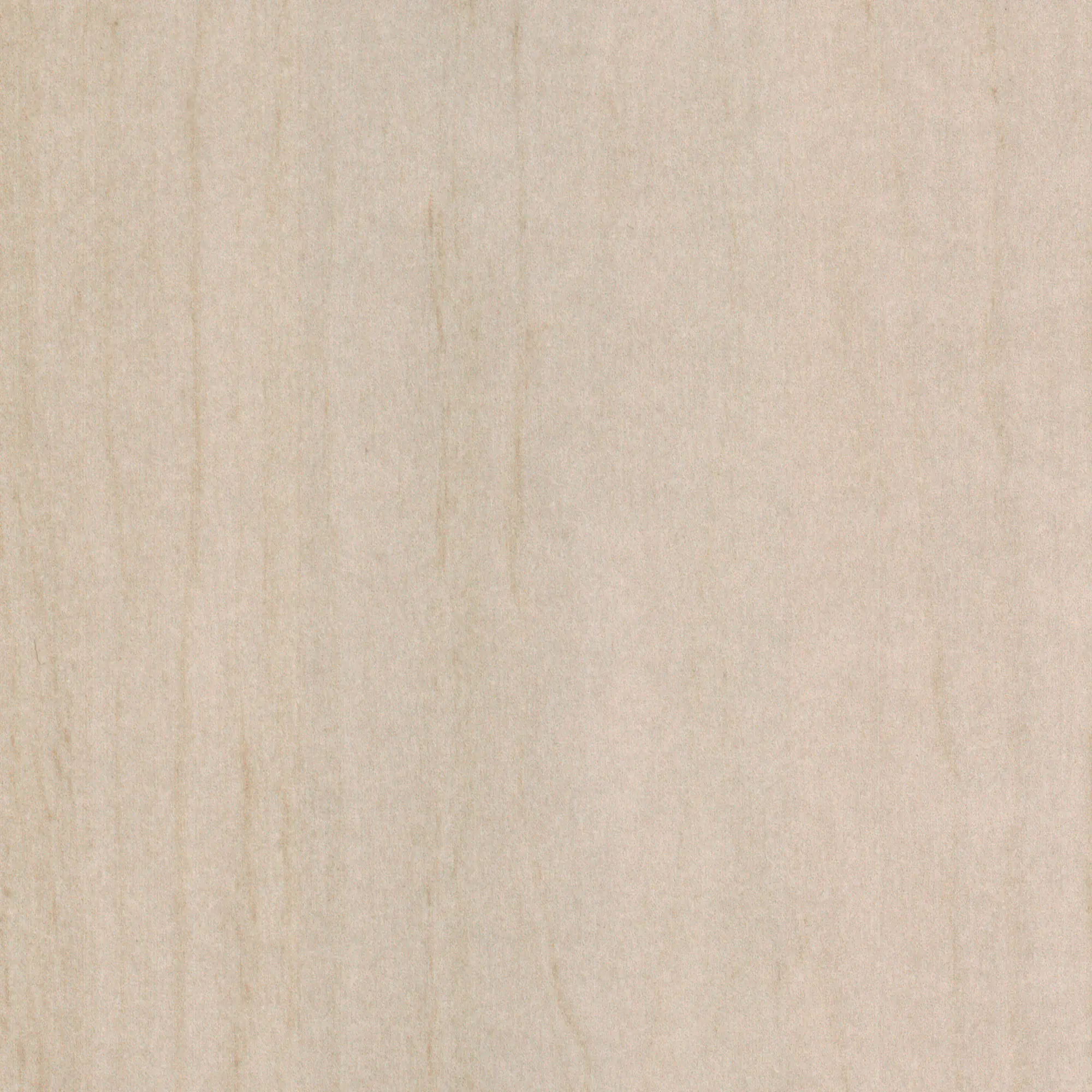 Neuhofer Fußleiste 240 cm x 70 x 19 mm Eiche Erle