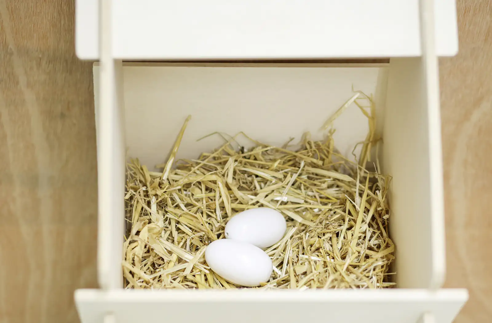 Kerbl Nesteier aus Holz