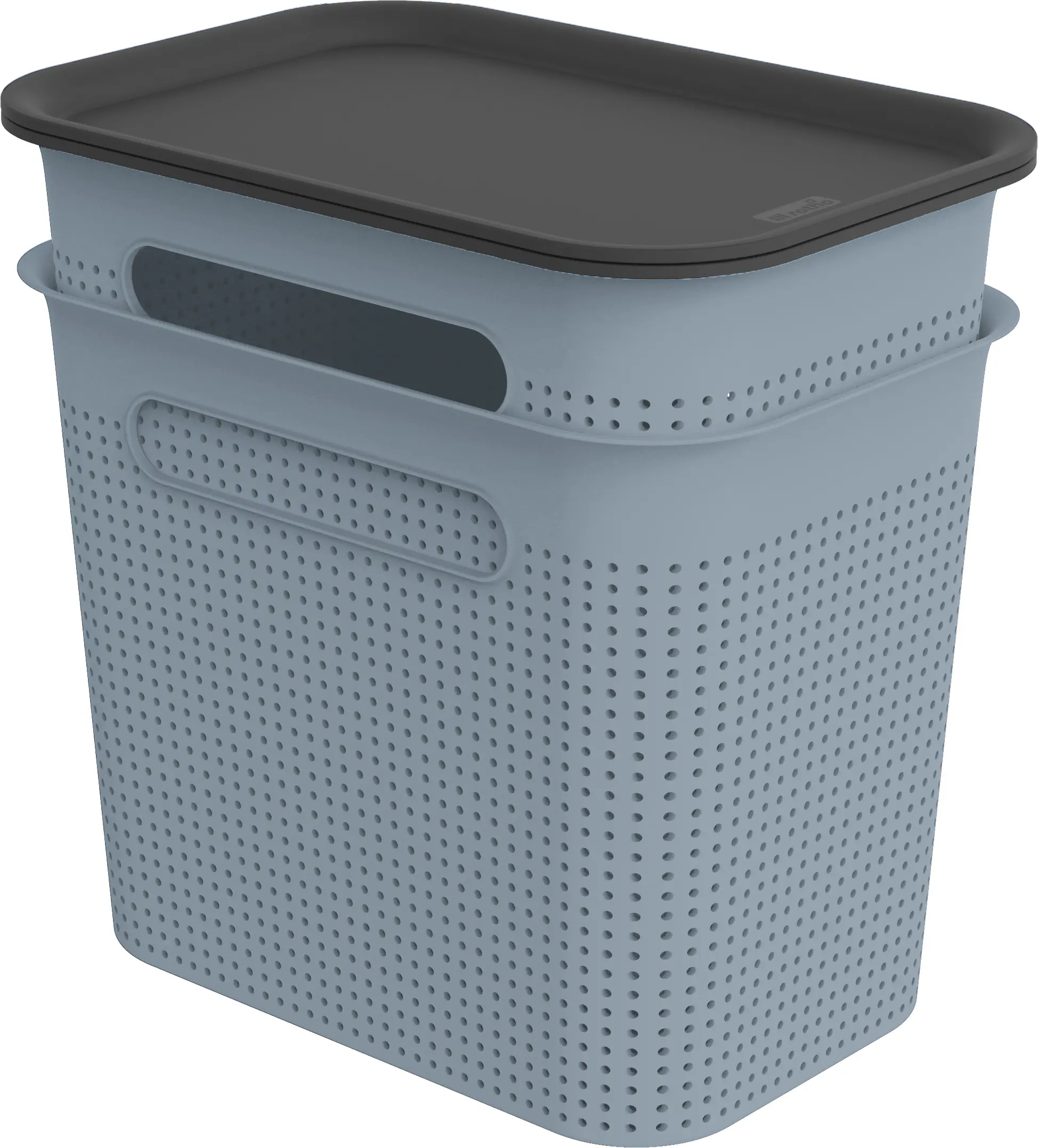 Rotho Aufbewahrungsbox Brisen mit Deckel 26,6 x 18,5 cm 7 L misty blau 2er Set