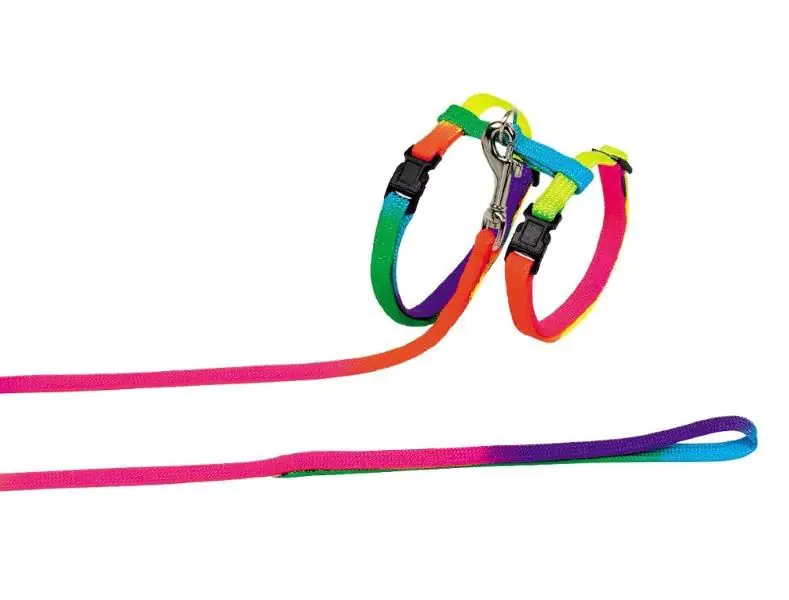 Nobby Katzengarnitur Nylon regenbogenfarbe