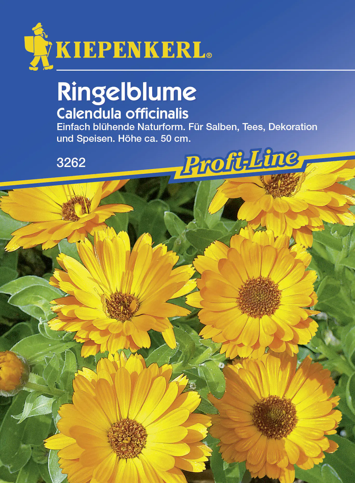 Kiepenkerl Ringelblume Calendula officinalis, Inhalt: ca. 100 Pflanzen