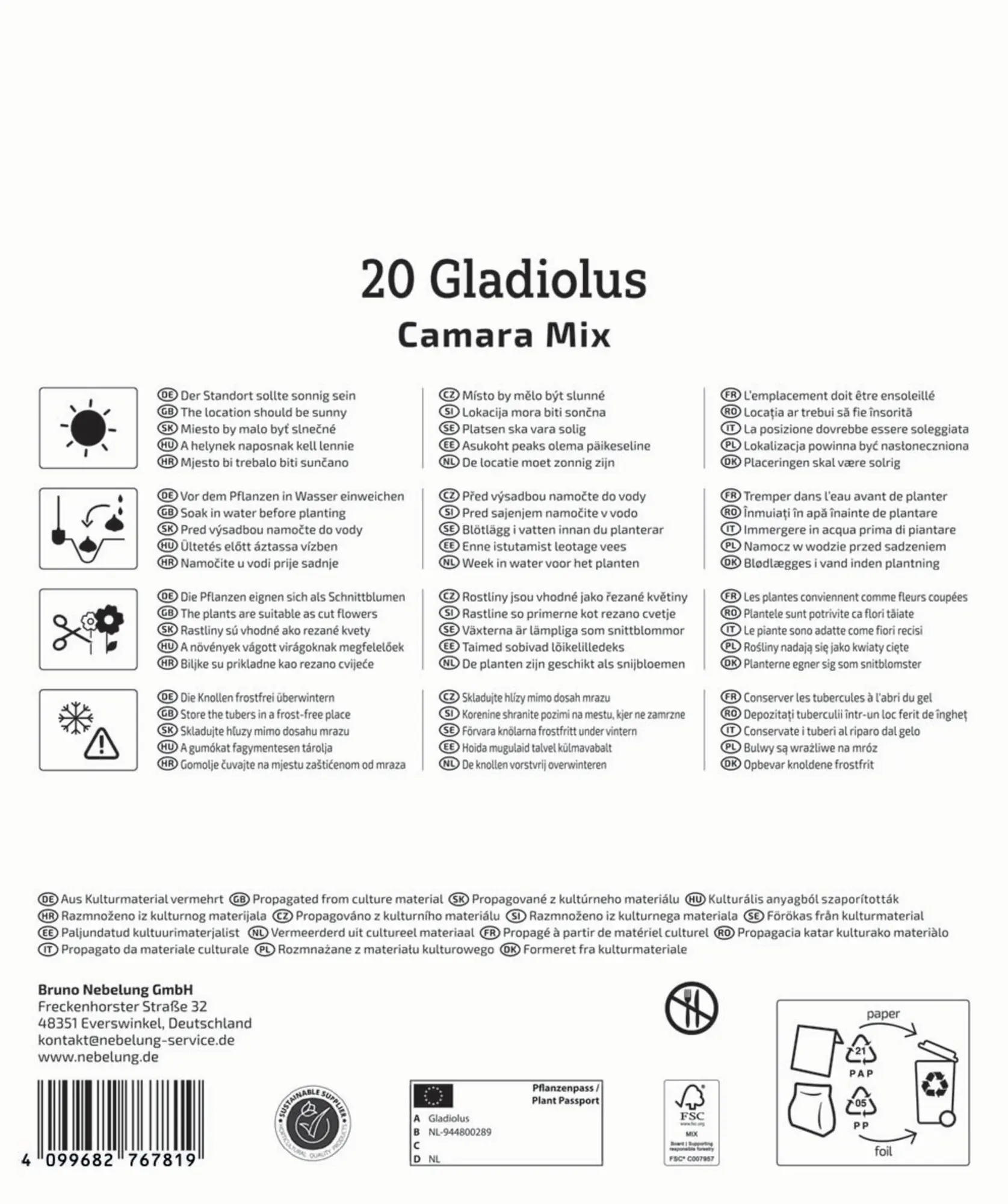 Kiepenkerl Mega-Pack Frühjahrsblumenzwiebel Gladiolen Camara Mischung 20 Stück