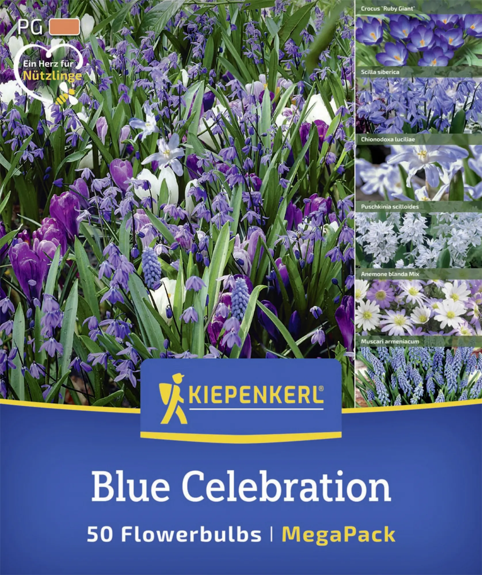 Kiepenkerl Herbstblumenzwiebelmischung Mega-Pack Blue Celebration 50 Stück