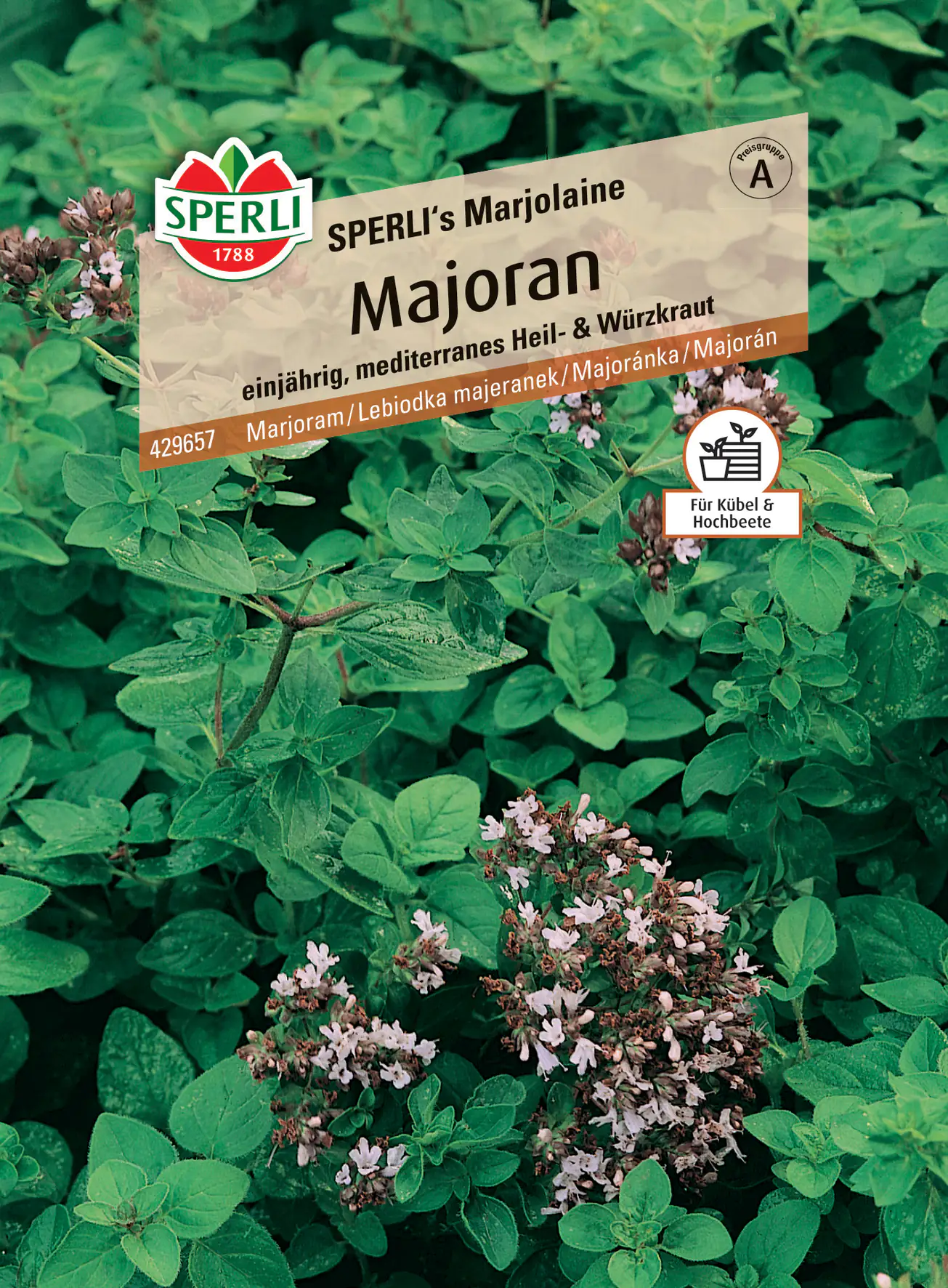 Sperli Majoran Sperli 's Marjolaine Sperli Majoran Sperli 's Marjolaine