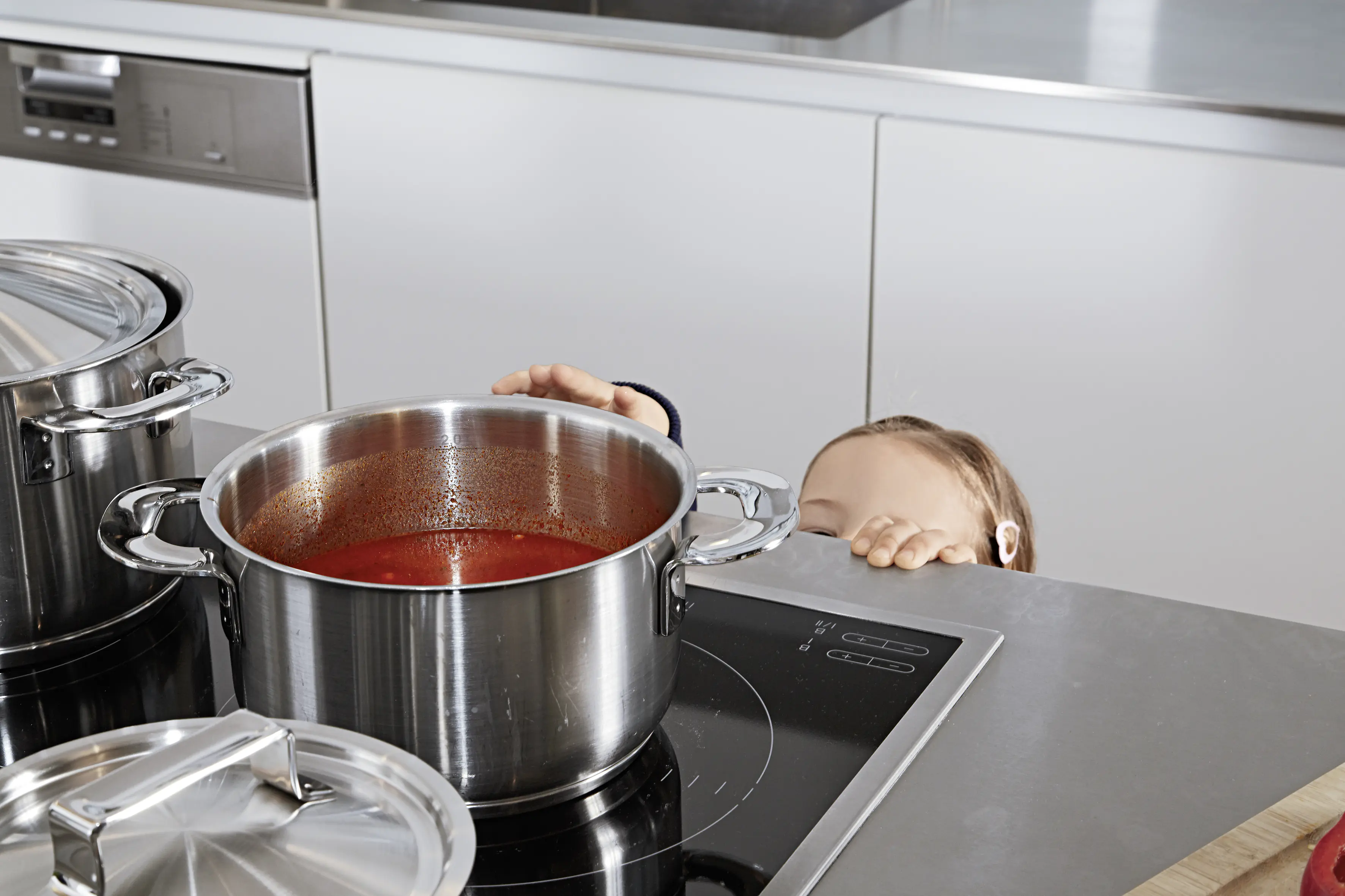 reer Herdschutz Premium XL silber-schwarz 57 - 90 cm 