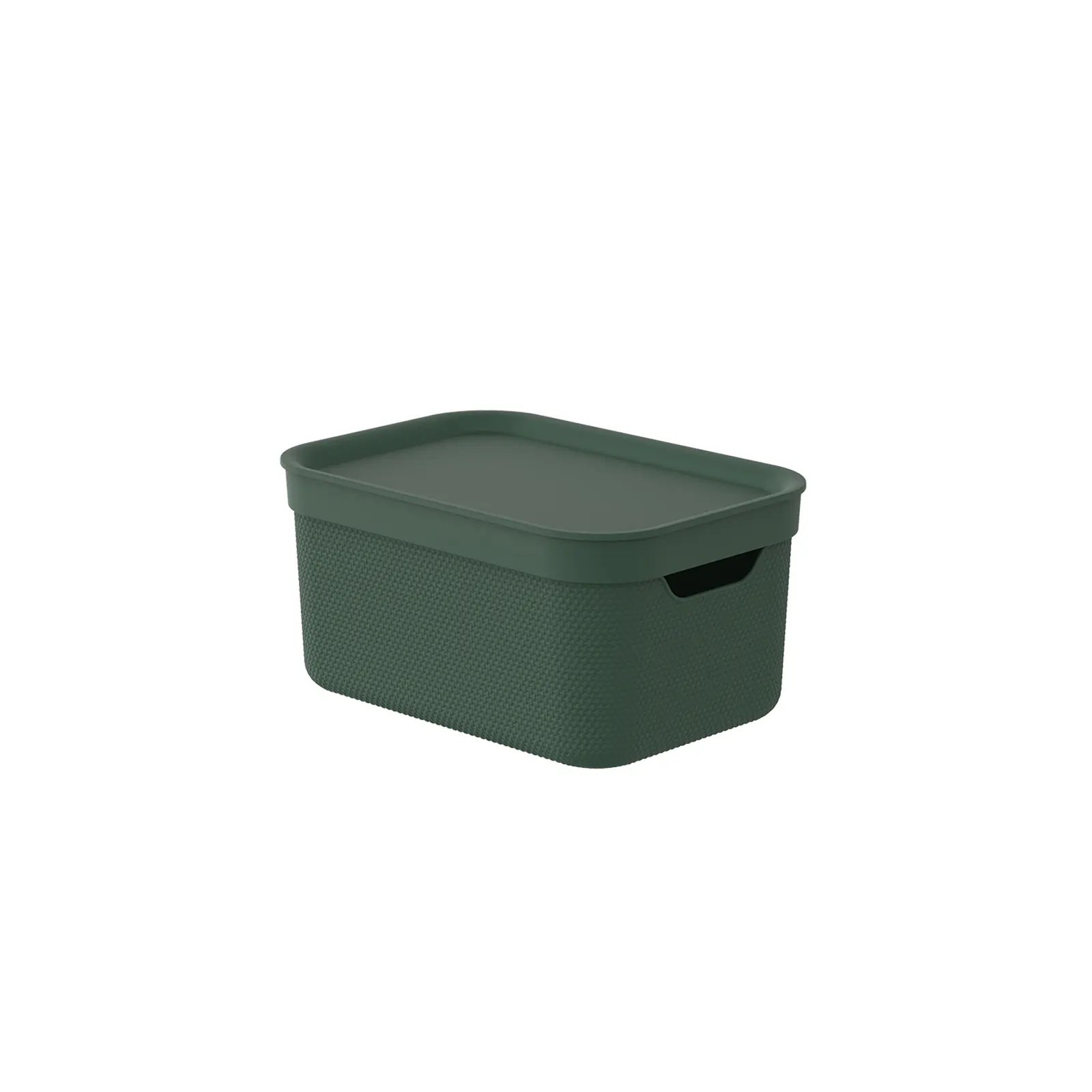 Rotho Aufbewahrungsbox Alvra mit Deckel 26,5 x 18,5 cm 5 L pure grün