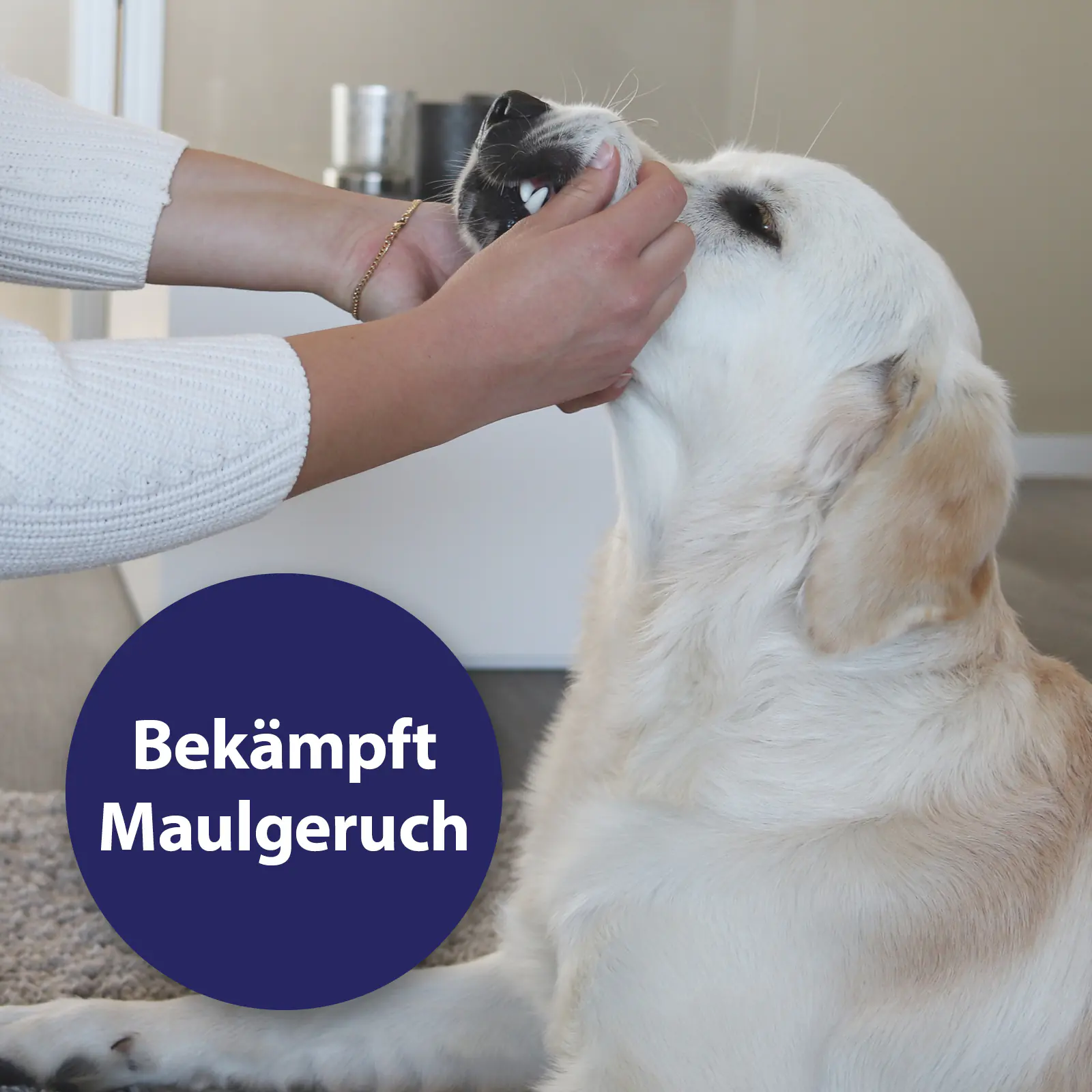 Canosept Zahnspray für Hunde 100 ml