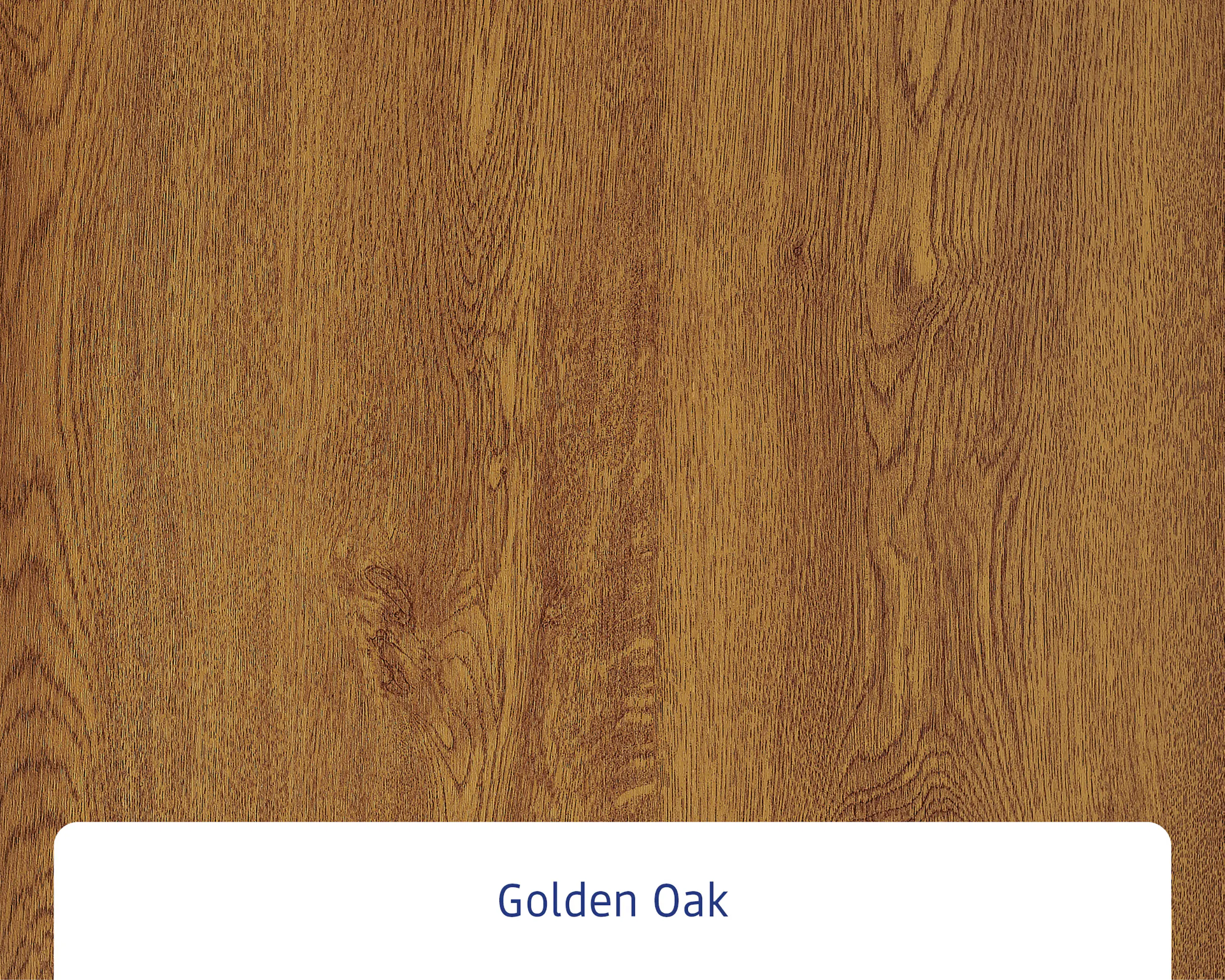 EcoStar Haustür ISOPRO IP 010 golden oak 110 x 210 cm