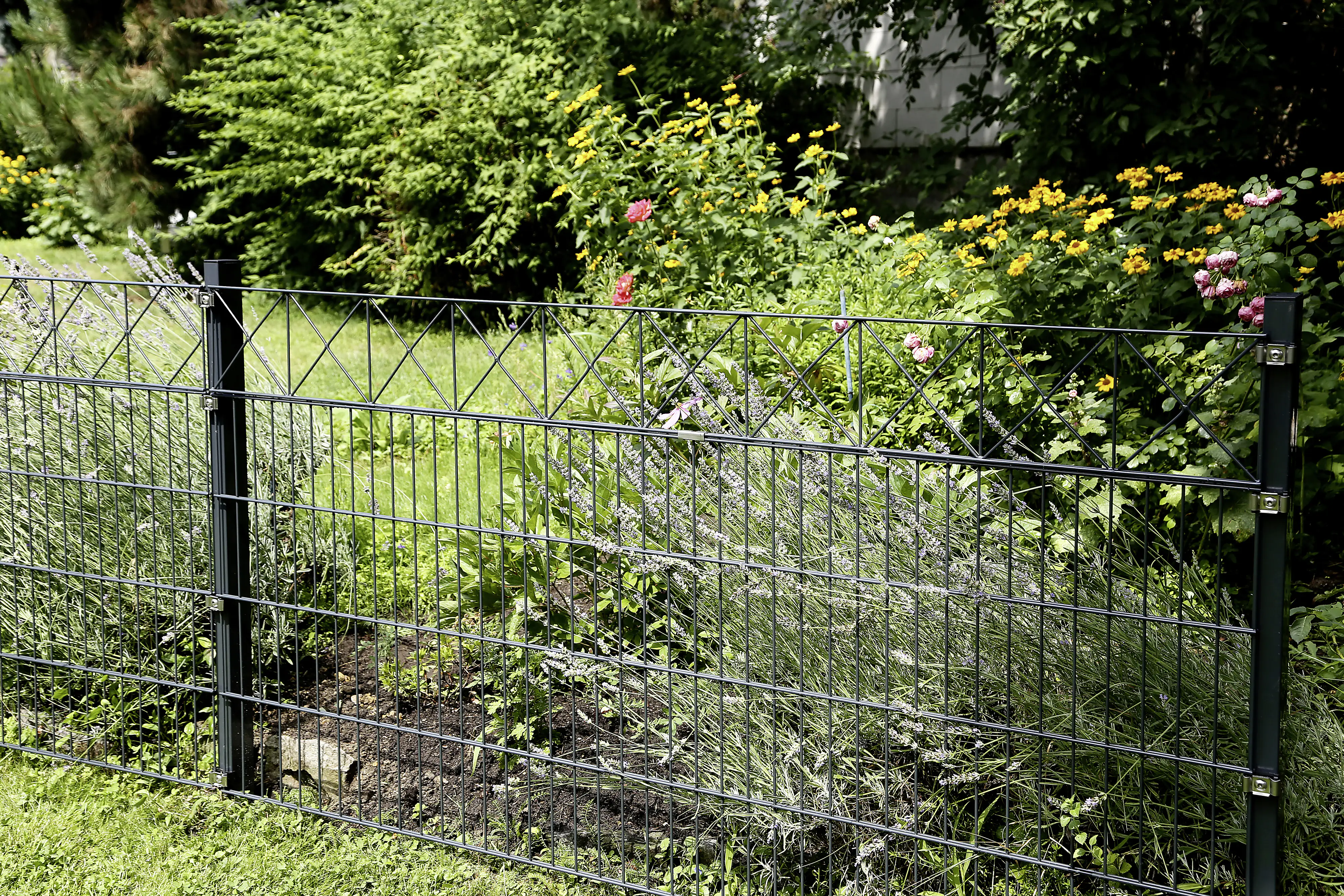 4004338668280 Alberts Doppelstabmatten-Grundset Nexus 200 x 100 cm 20 m anthrazit