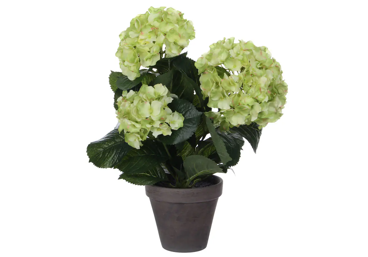 Mica Kunstpflanze Hortensie im Topf grün, 40 x 35 cm