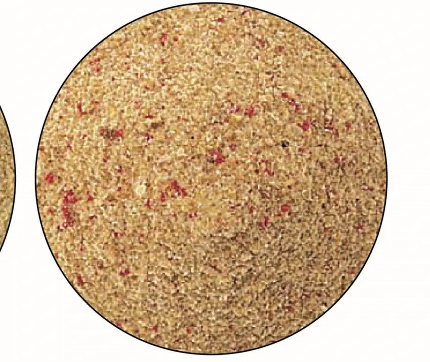 Paladin Fischfutter Stillwasser 1kg 1 kg/Stillwasser Fertigfutter