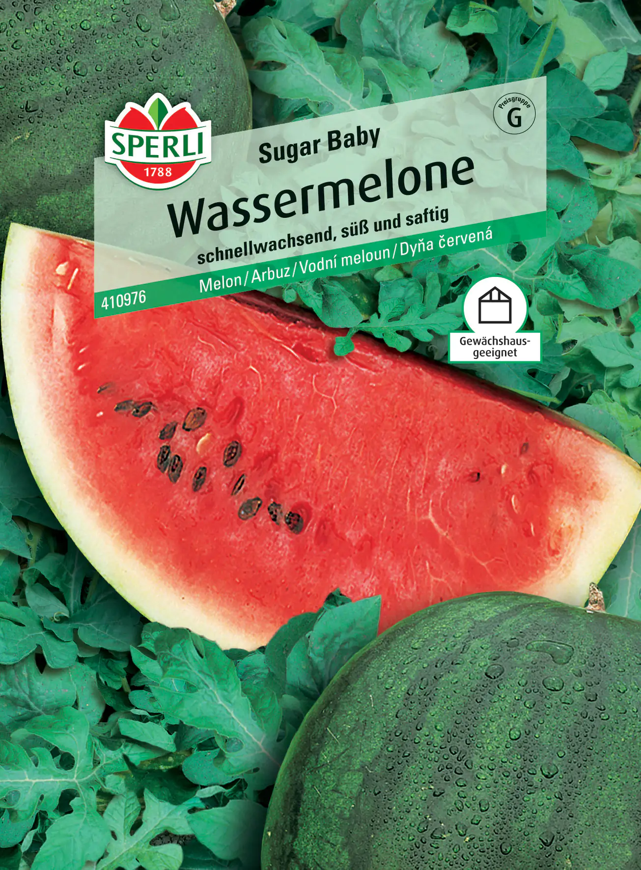 Sperli Wassermelone Sugar Baby Sperli Wassermelone Sugar Baby