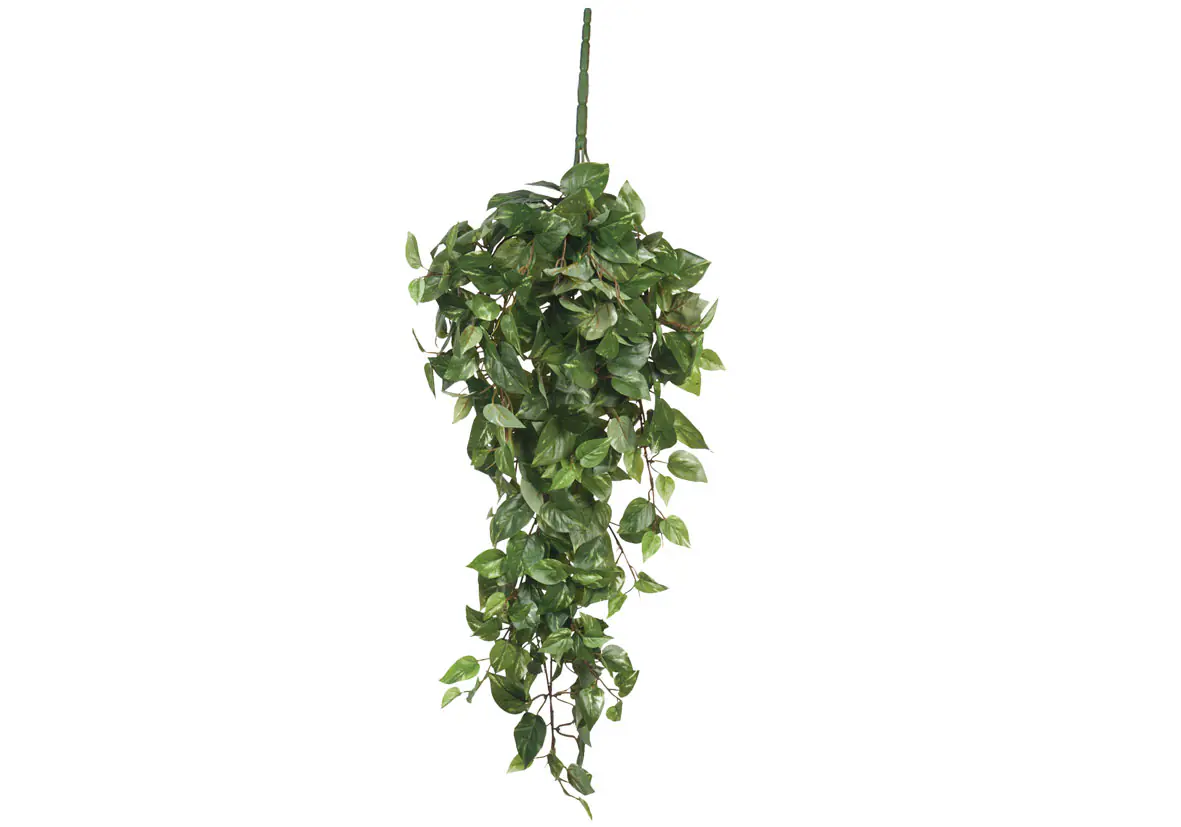 Mica Kunstpflanze Scimdapsus hängend grün, 80 cm