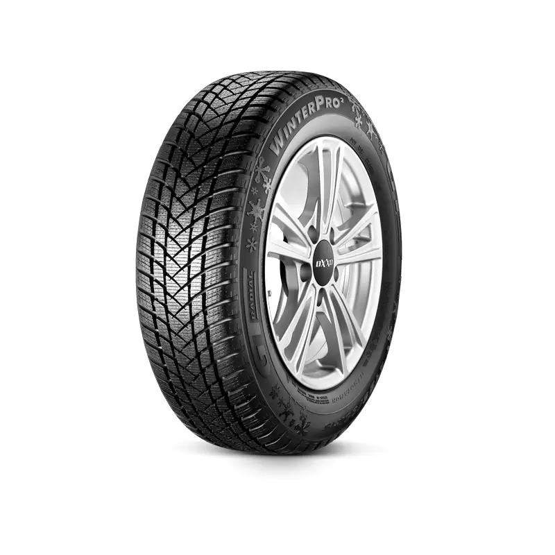GT Radial Winterreifen Winterpro 2 205/55 R16 91H