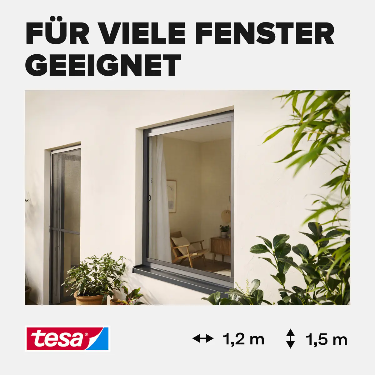 tesa Insektenschutz-Fenster COMFORT 120 x 150 cm anthrazit