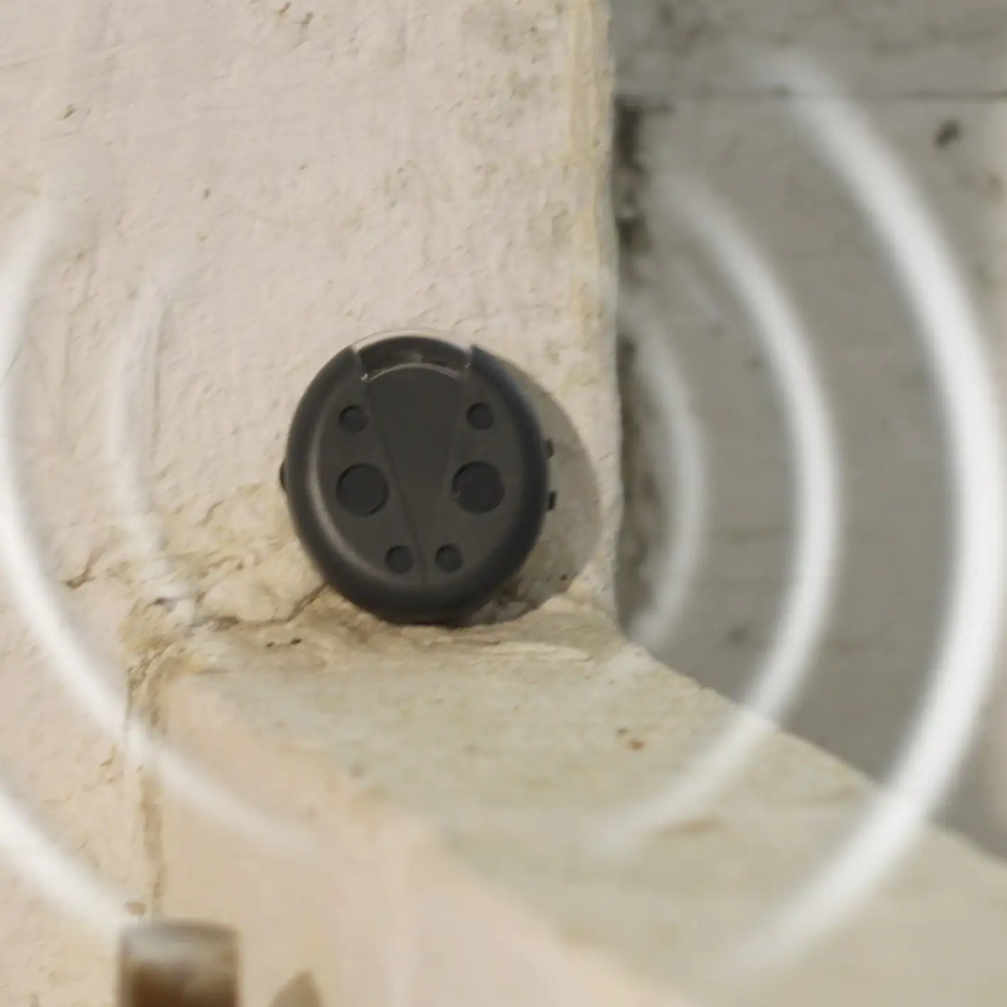 Gardigo Mobile Mäuseabwehr schwarz