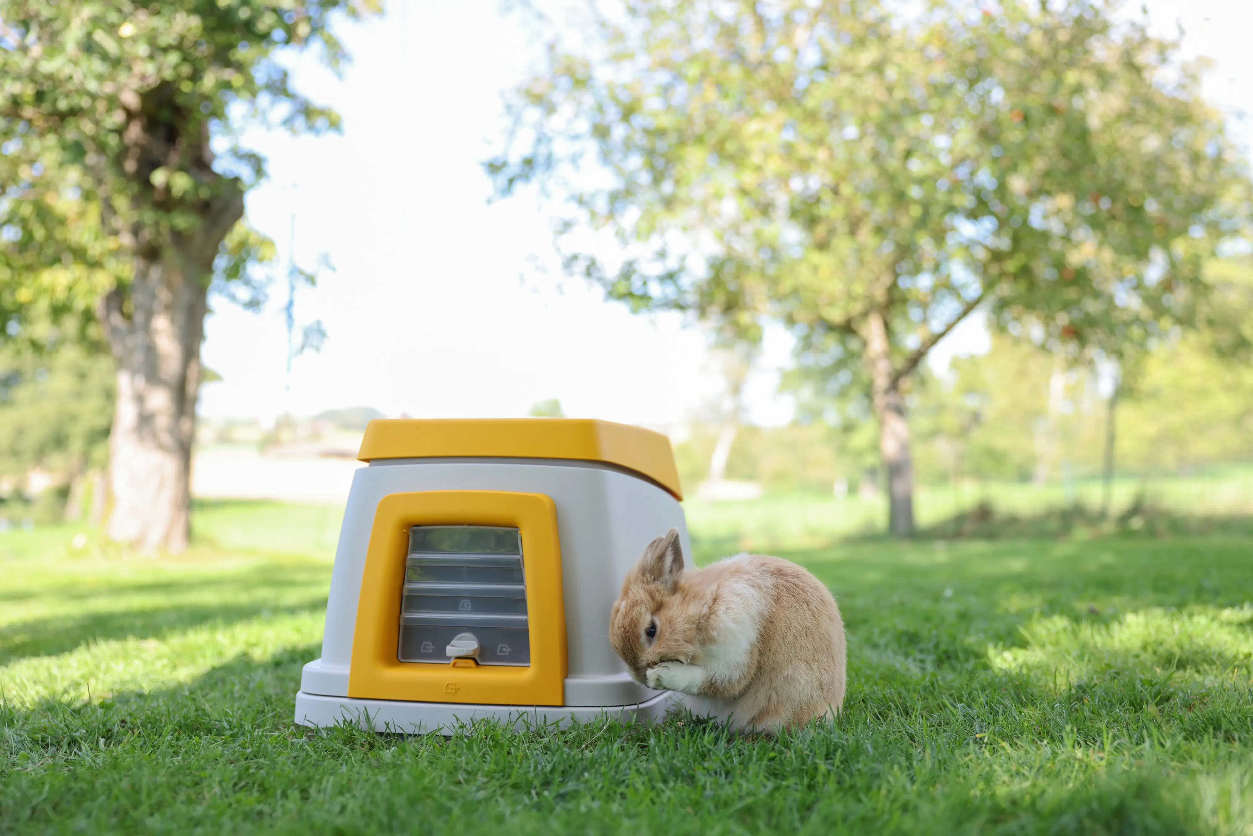 Kerbl Kaninchenbau Bunny Base Komplettset, grau/orange, L 58 x B 38,5 x H 55 cm Kerbl Kaninchenbau Bunny Base Komplettset, grau/orange, L 58 x B 38,5 x H 55 cm