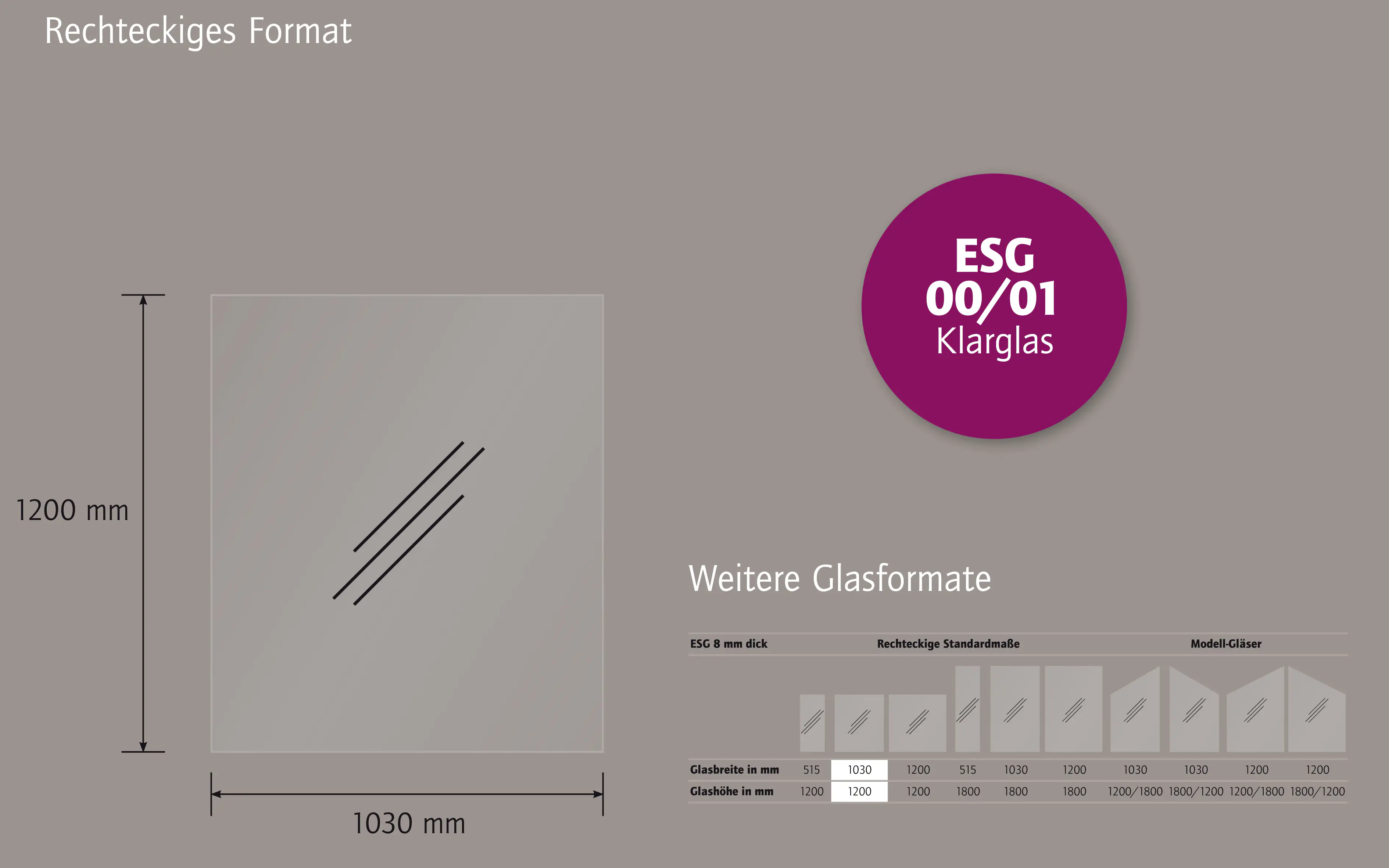 Ambiente Glaszaun Dekor 00/01 103 x 120 cm gehärtetes 8 mm Glas Ambiente Glaszaun Dekor 00/01 103 x 120 cm gehärtetes 8 mm Glas