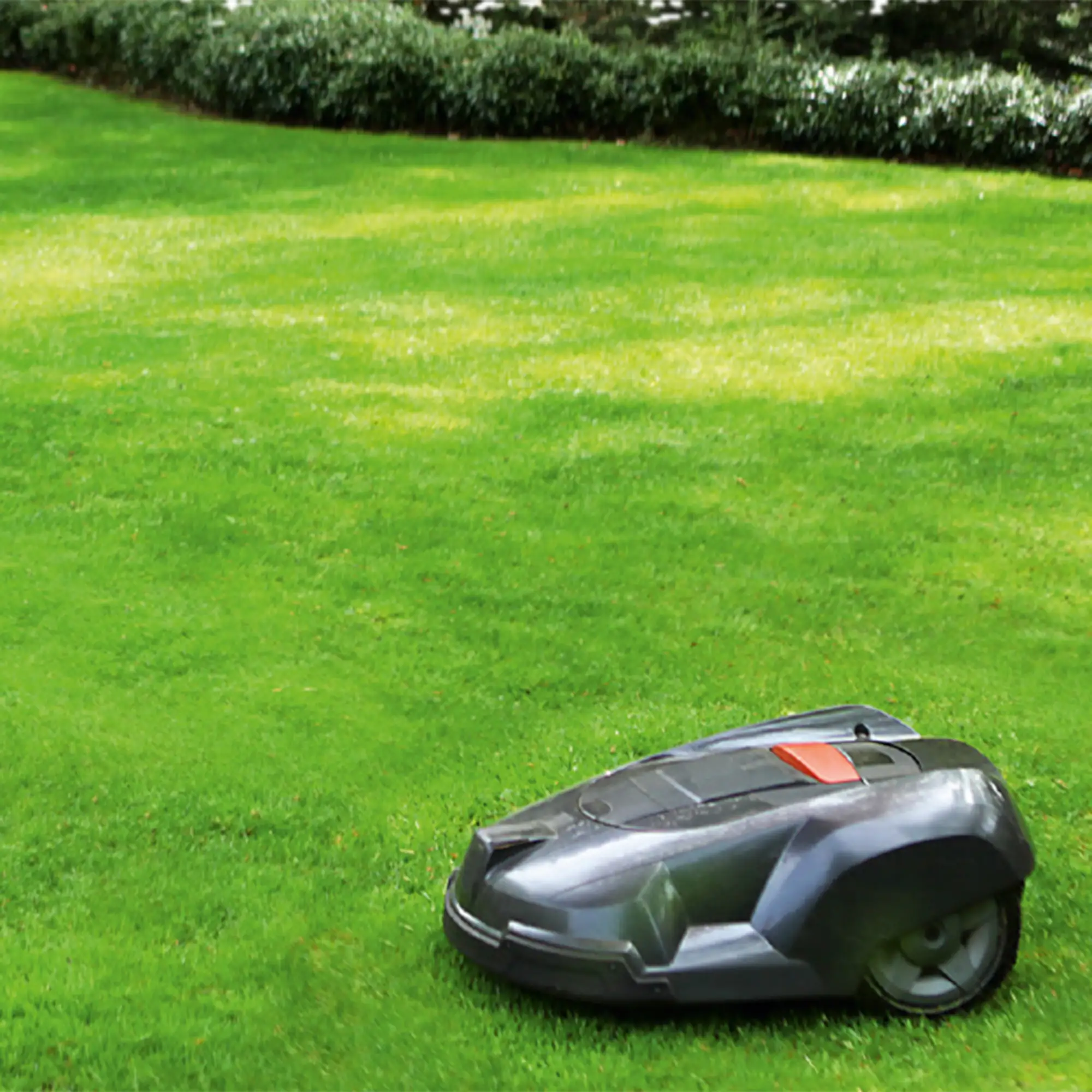 Westland 100 Tage Grün Rasendünger 100 m² 2,5 kg Westland 100 Tage Grün Rasendünger 100 m² 2,5 kg