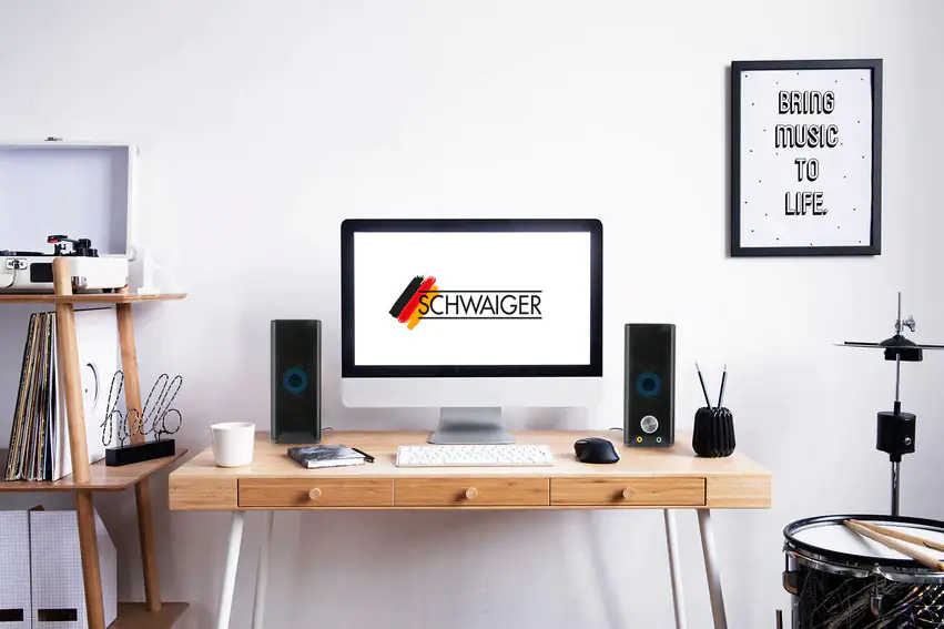 Schwaiger Bluetooth Lautsprecher Lichteffekte USB 2.0 A, 4x Klinkenstecker, schwarz Schwaiger Bluetooth Lautsprecher Lichteffekte USB 2.0 A, 4x Klinkenstecker, schwarz