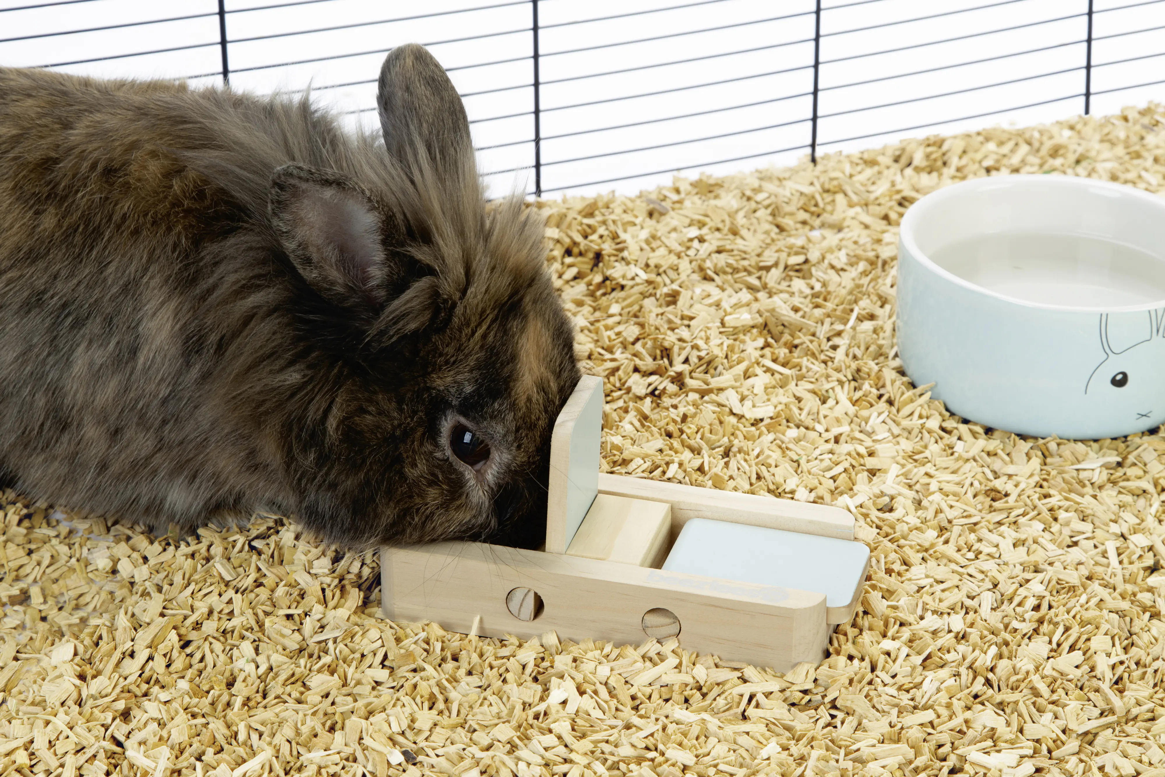 Beeztees Spielzeug Dorix 