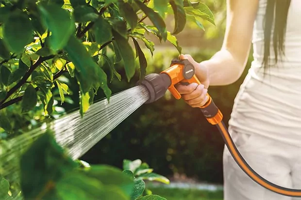 Die besten Tipps zur Bewässerung