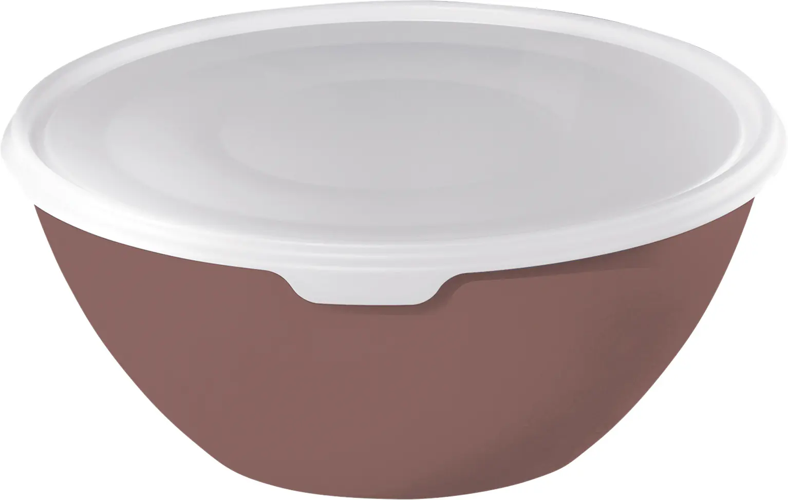 Rotho Schüssel + Deckel Caruba 8 L weinrot