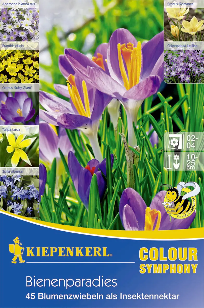 Kiepenkerl Blumenzwiebeln Colour Symphony Bienenparadies Arten-Mischung, Inhalt: 45 Stück