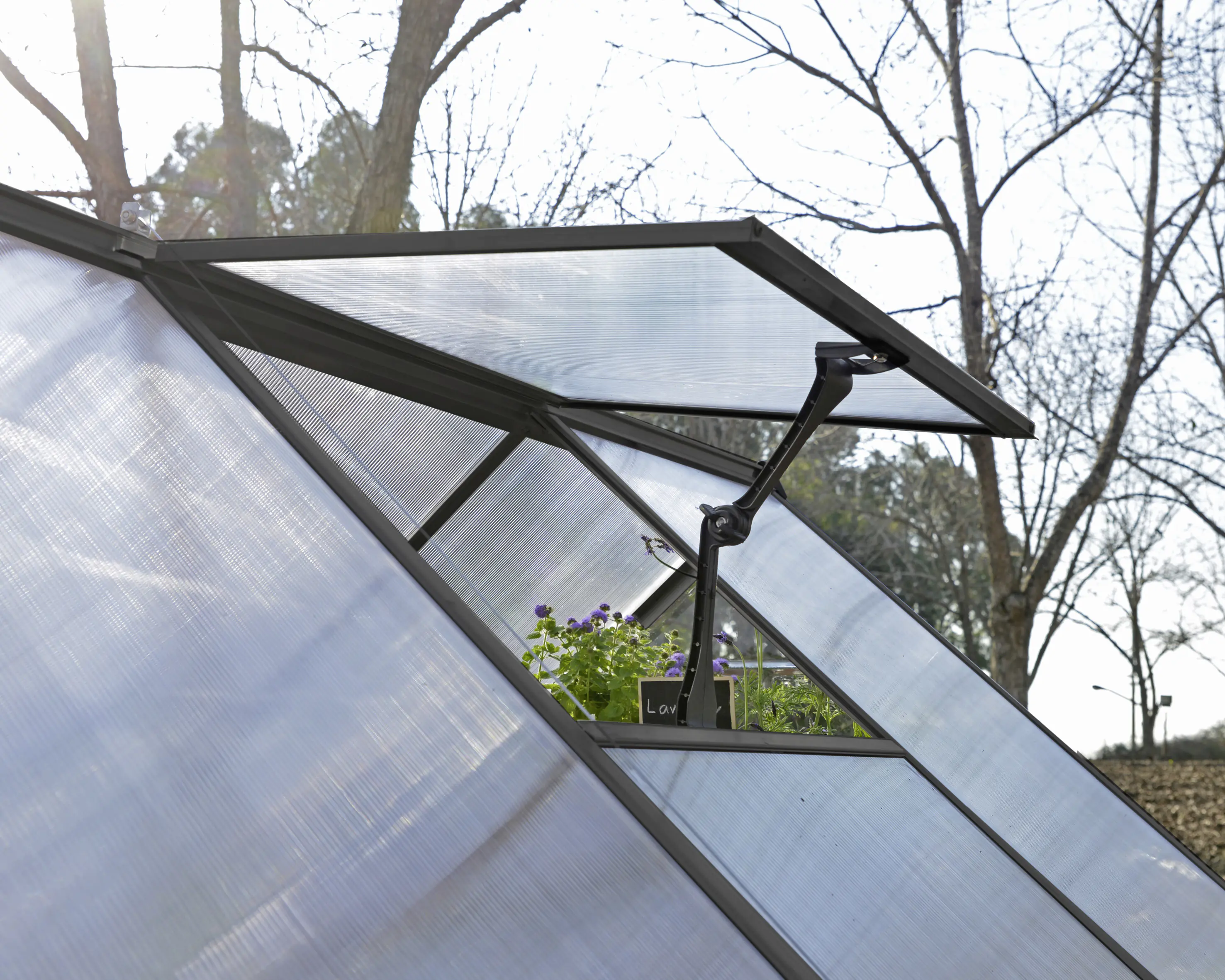 Canopia Gewächshaus Balance Alu grau 607 x 244 cm