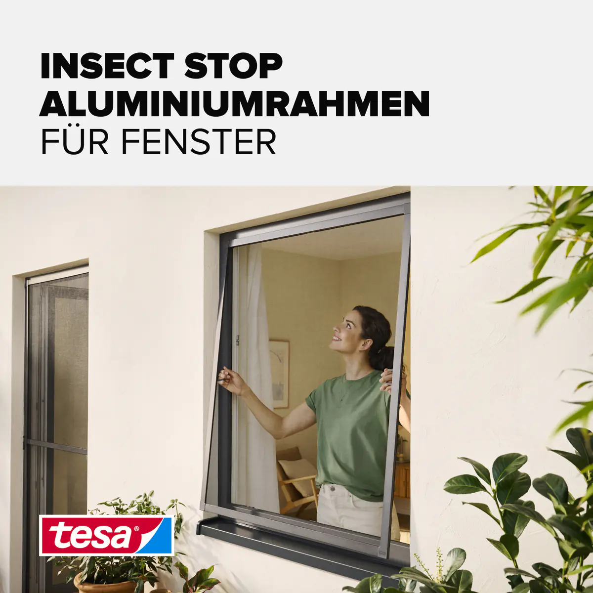 tesa Insektenschutz-Fenster COMFORT 120 x 150 cm anthrazit