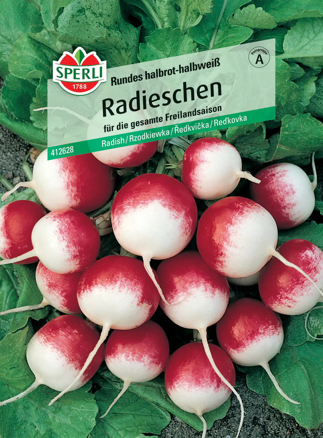 Sperli Radieschen Rundes halbrot-halbweiß