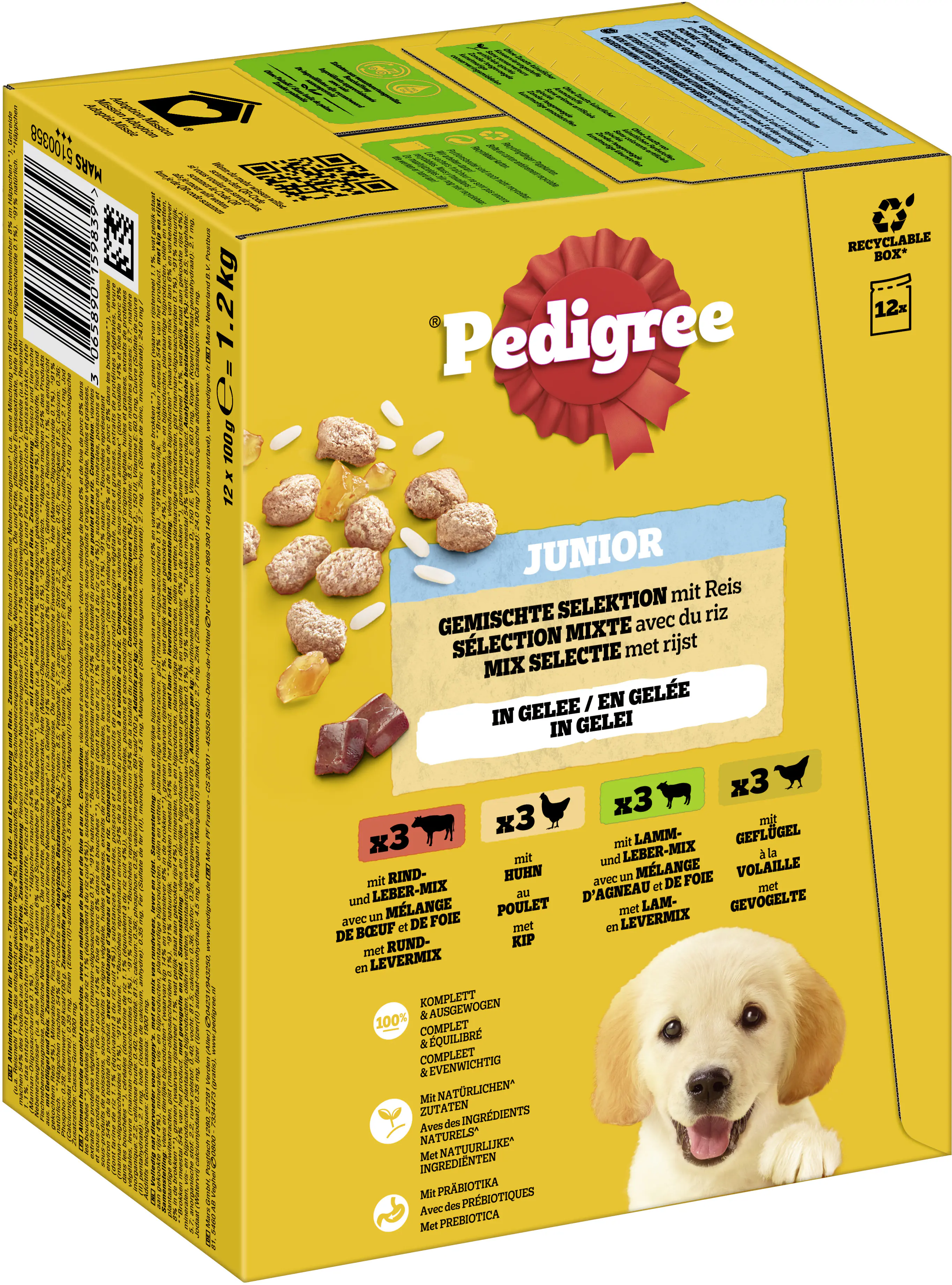 Pedigree Hundenassfutter Junior 12 x 100 g gemischte Selektion in Gelee