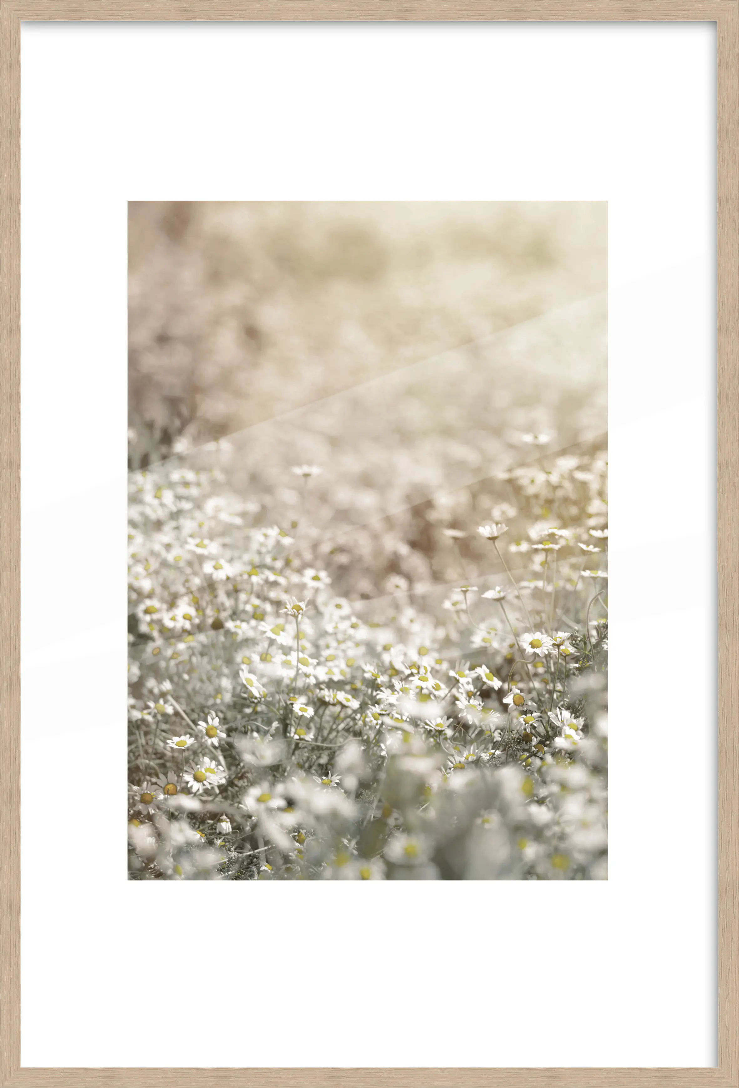 Bilderrahmen Holz Luzern eiche 61 x 91,5 cm 