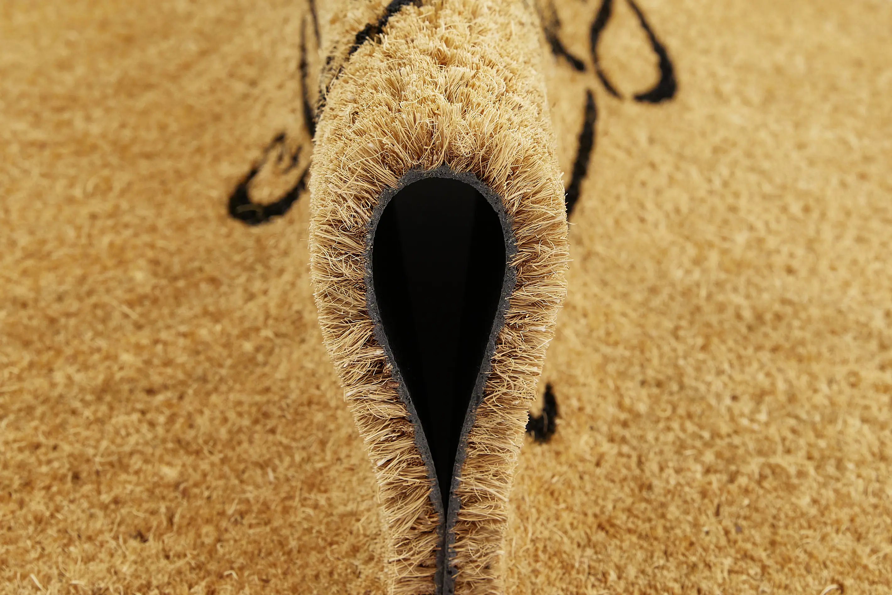 Fußmatte Kokos Pets 40 x 60 cm Dog