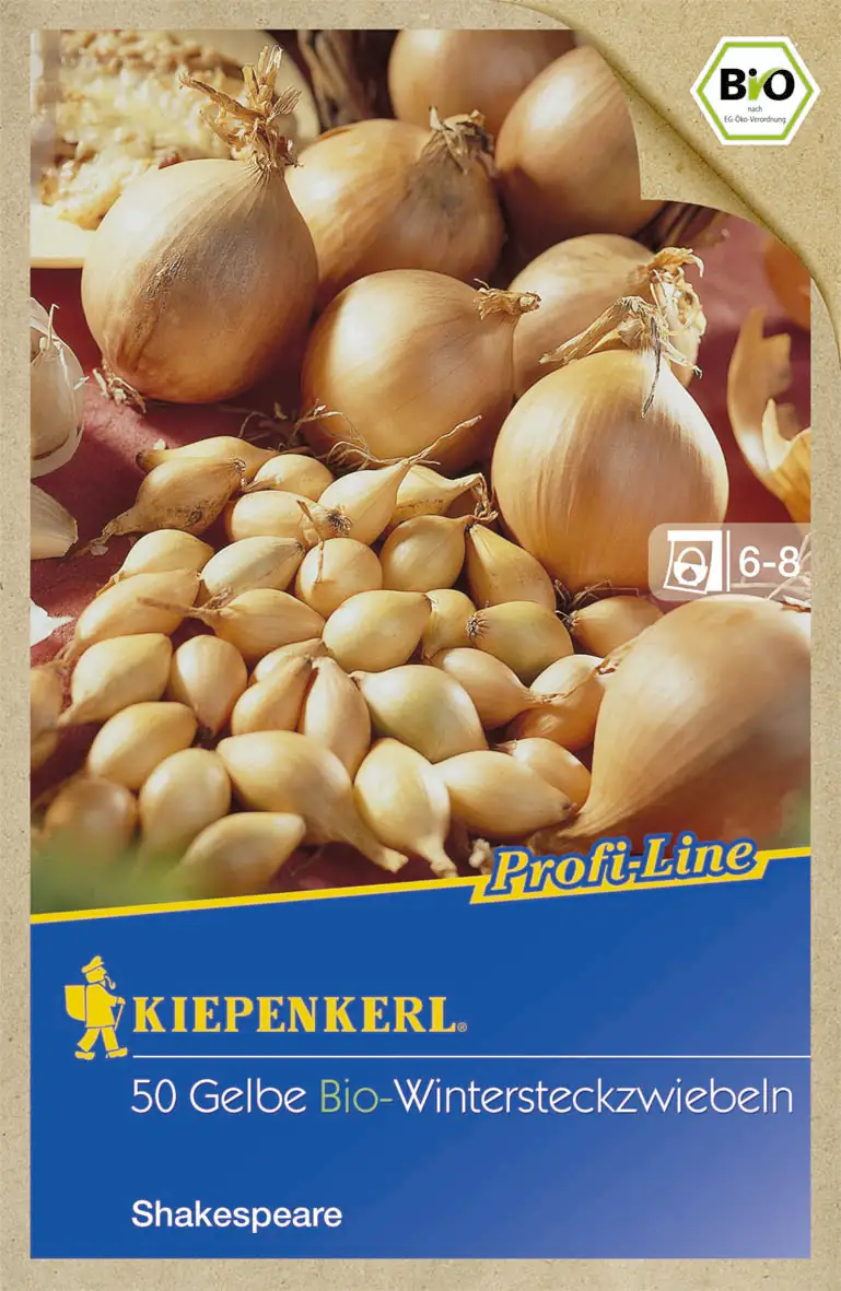 Kiepenkerl Wintersteckzwiebel Shakespeare Allium cepa