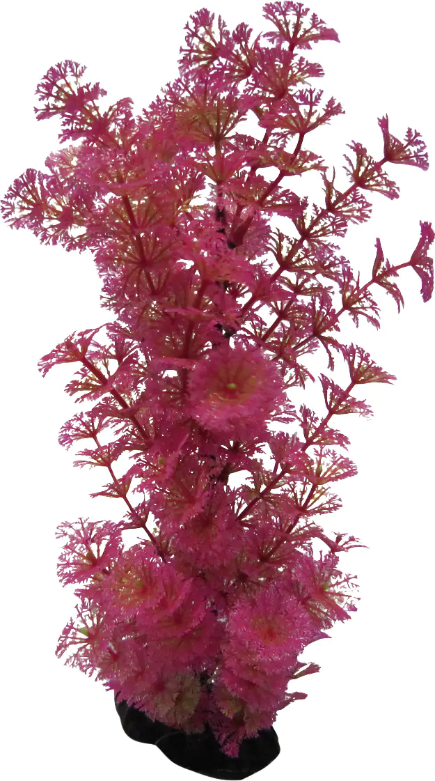 Orbit Aquapflanze Deluxe large Nr. 2 25 - 32 cm