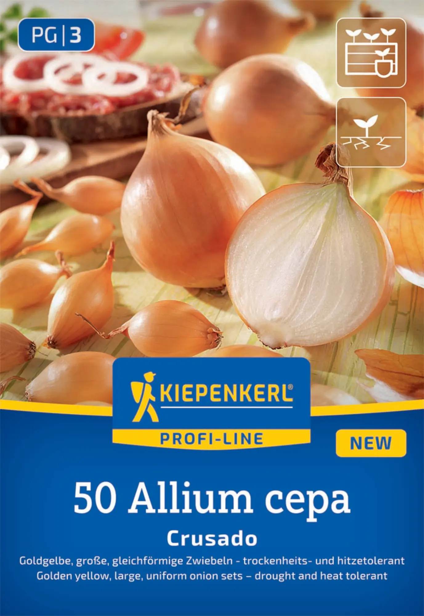 Kiepenkerl Steckzwiebel Crusado 50 Stück