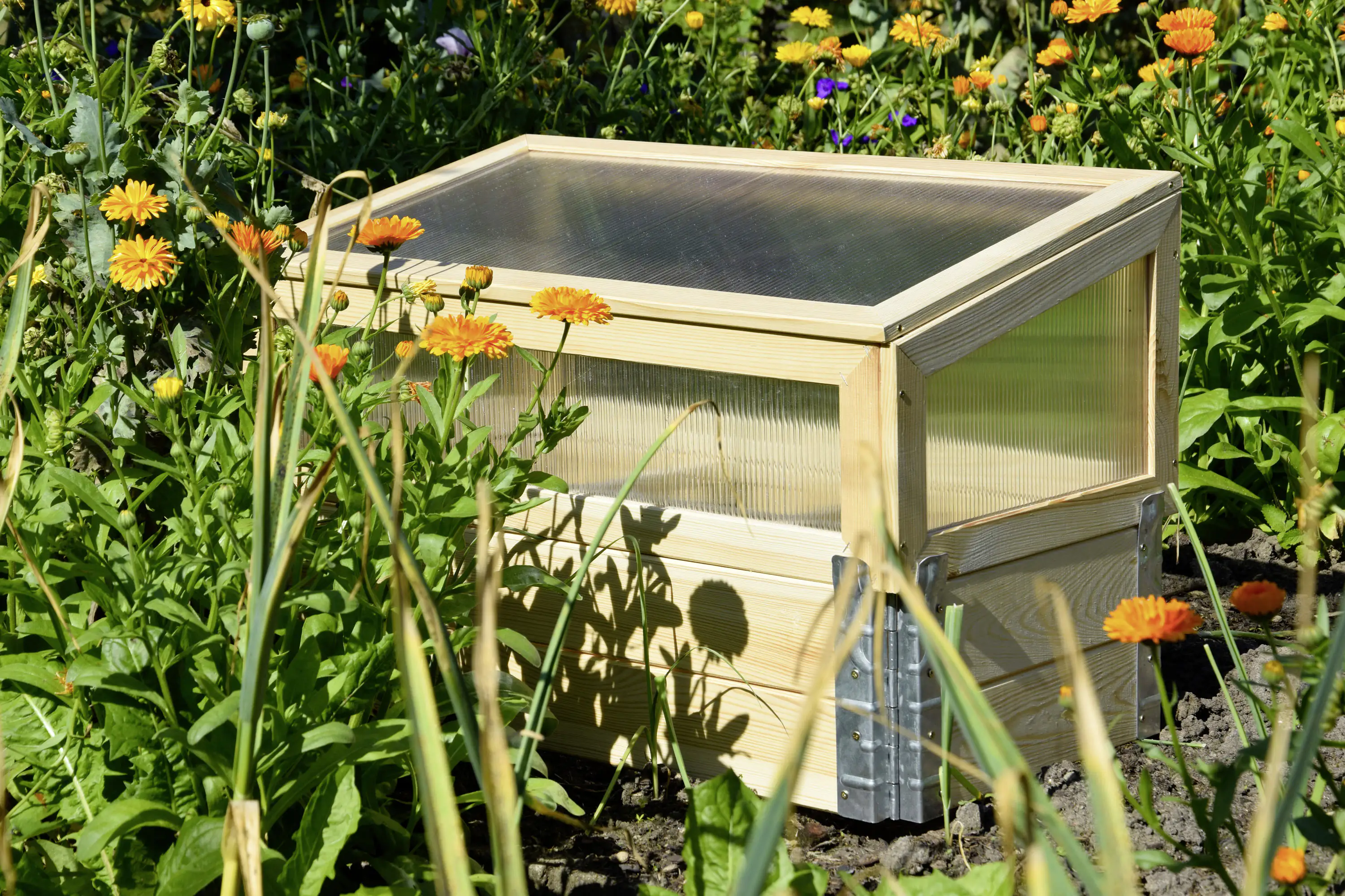 Dobar Frühbeet mit Untersatz transparent Kiefer 76 x 40 x 50 cm