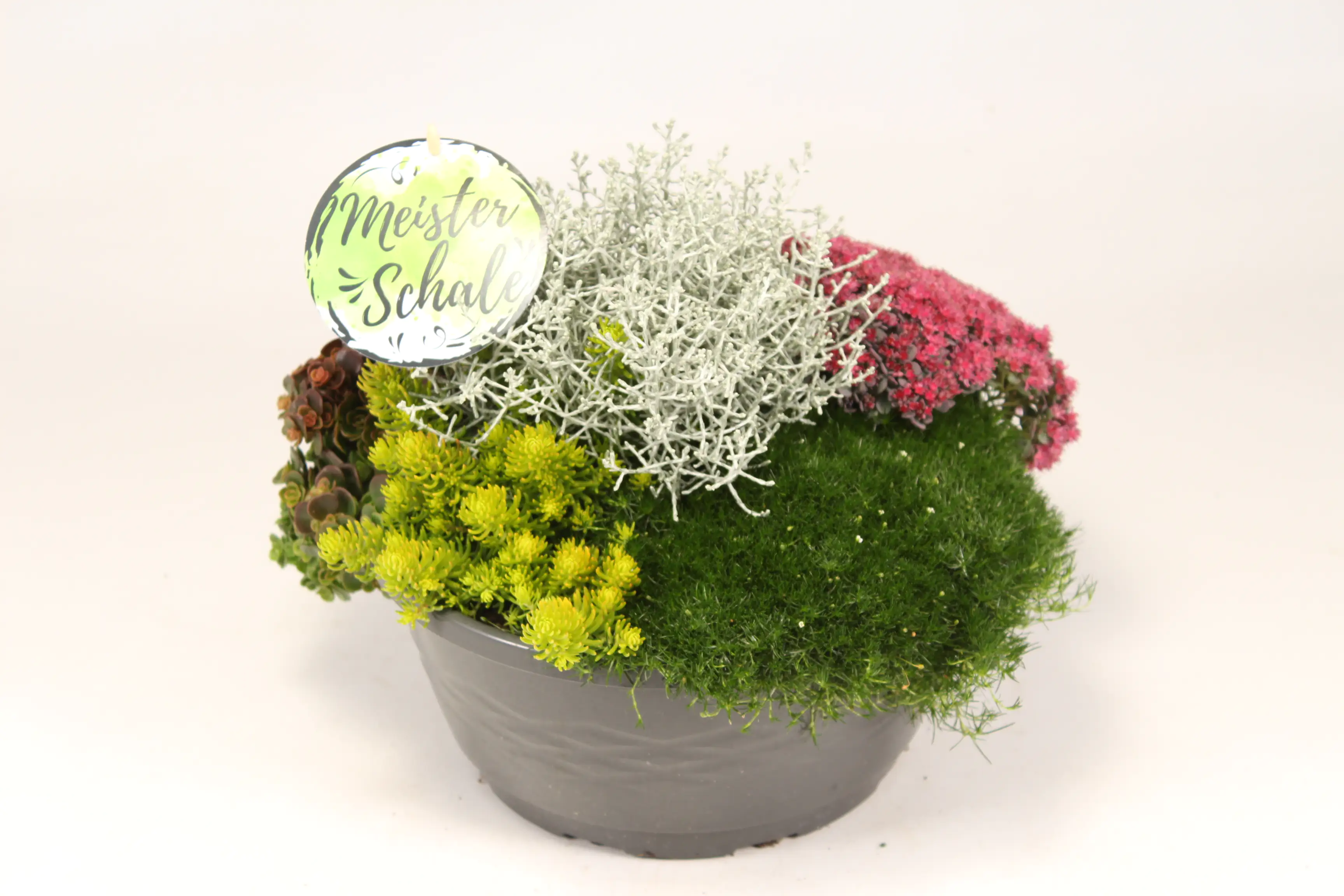 Meisterschale Indian Summer 27 cm Topf